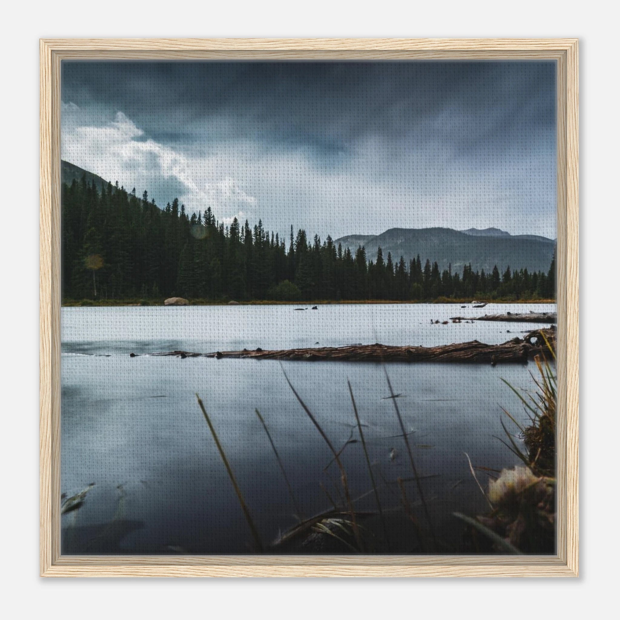 00080c37-ec7c-4ebb-9161-4512b7d220fd