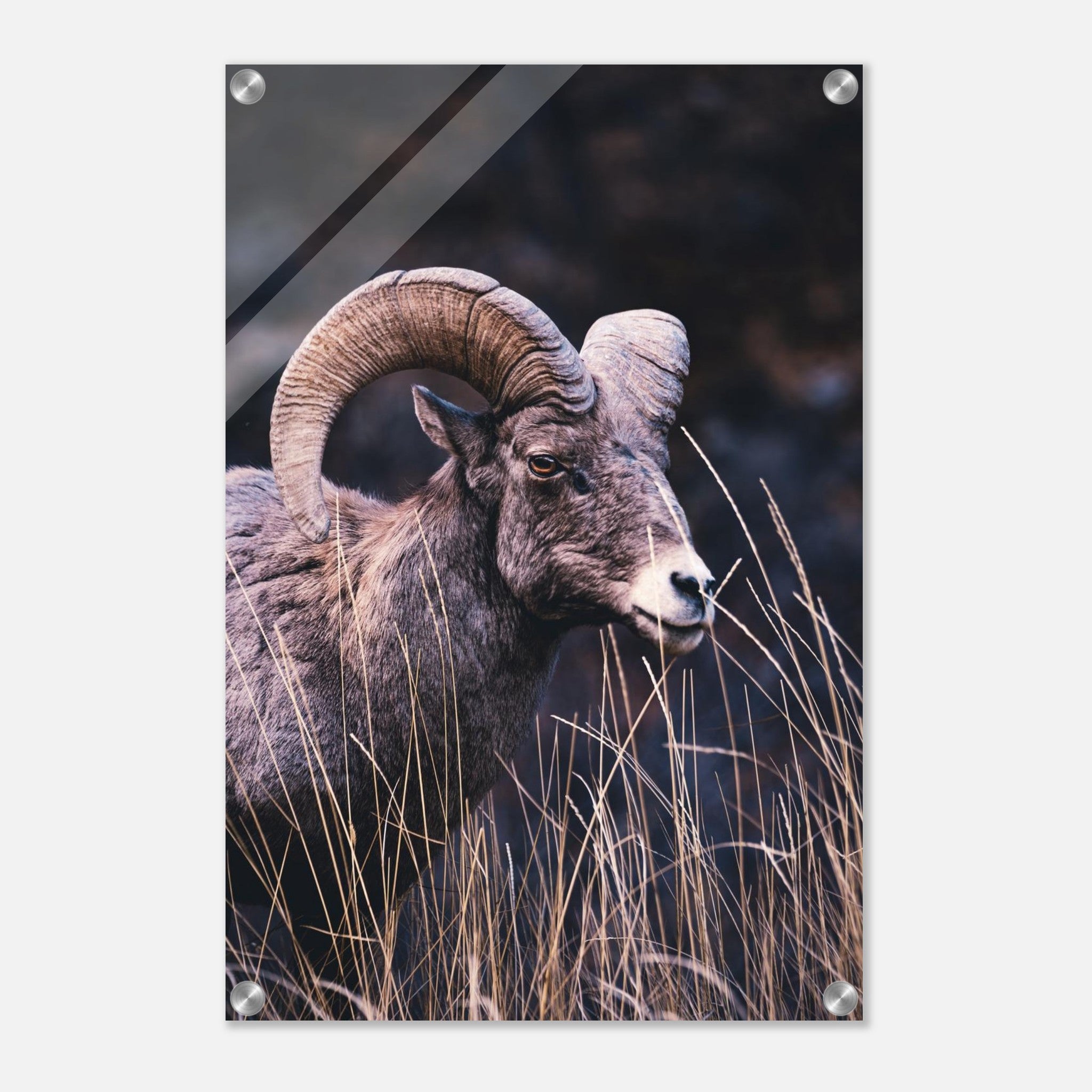 01c68382-d37f-4712-bdbc-d853e770268f