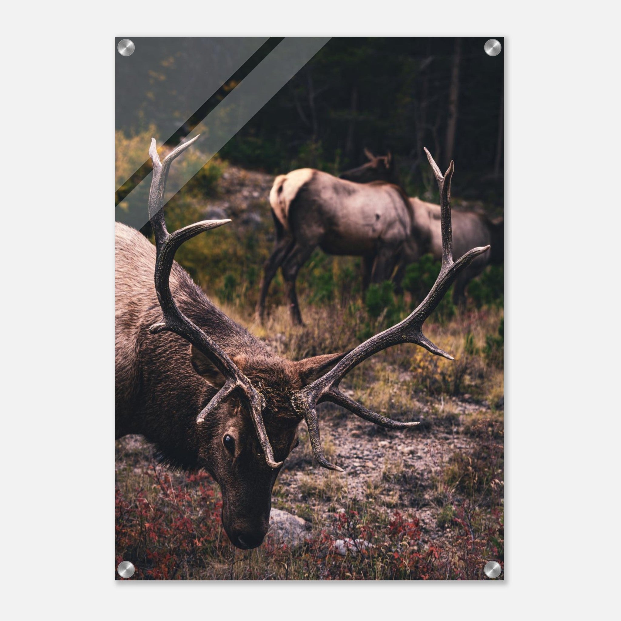 027ca842-ff82-4b79-a6ad-766b50f3de9d