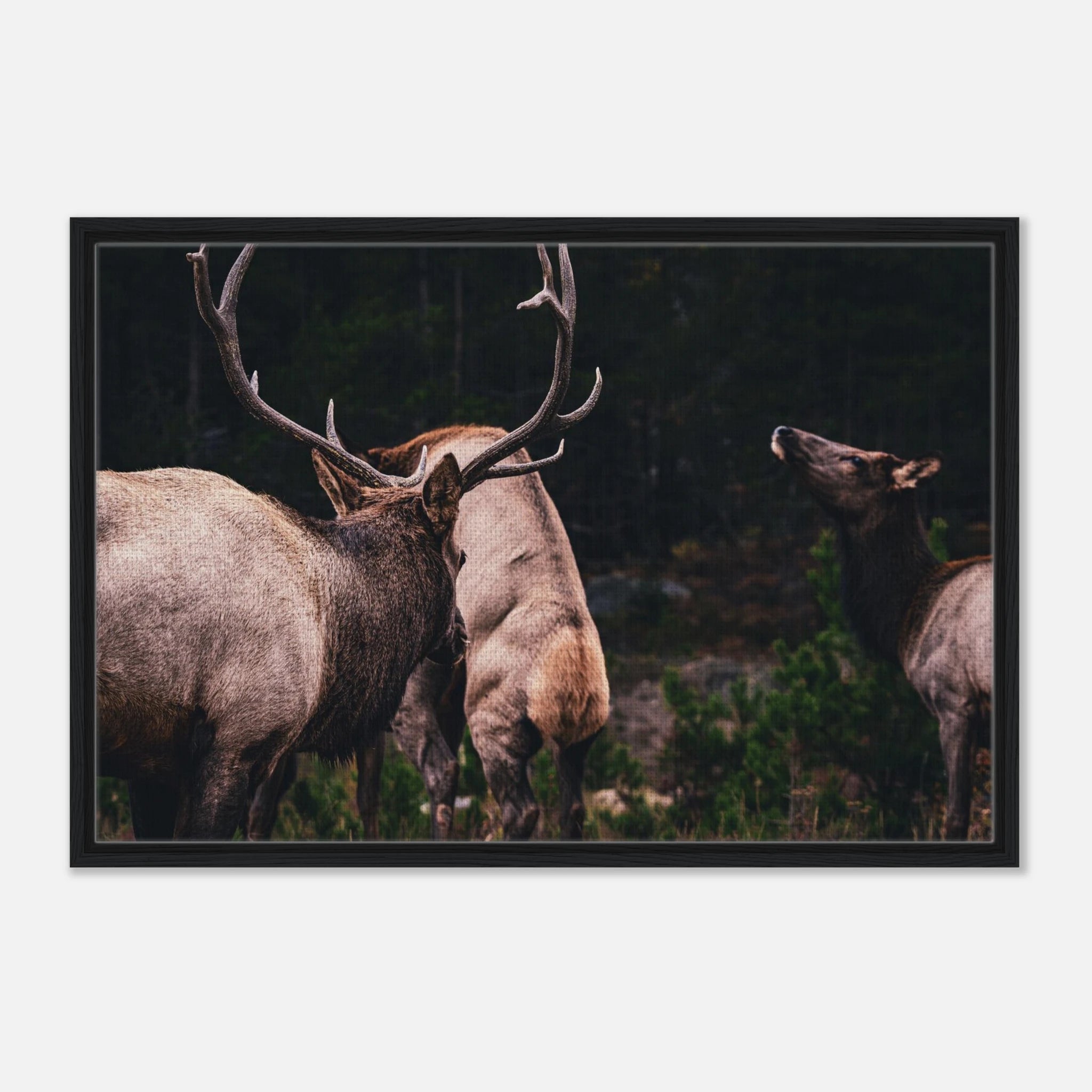 028761c9-3f55-4b0f-b82f-44eaa41c9380