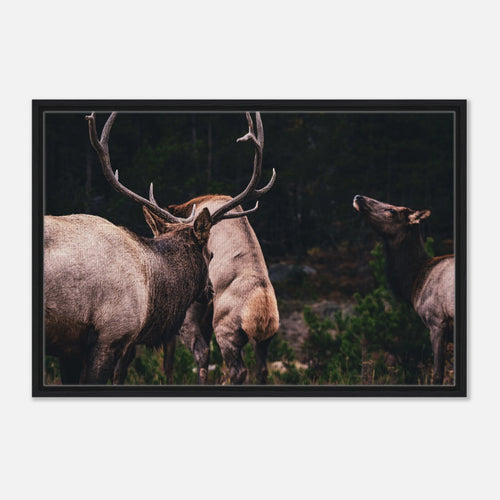 028761c9-3f55-4b0f-b82f-44eaa41c9380