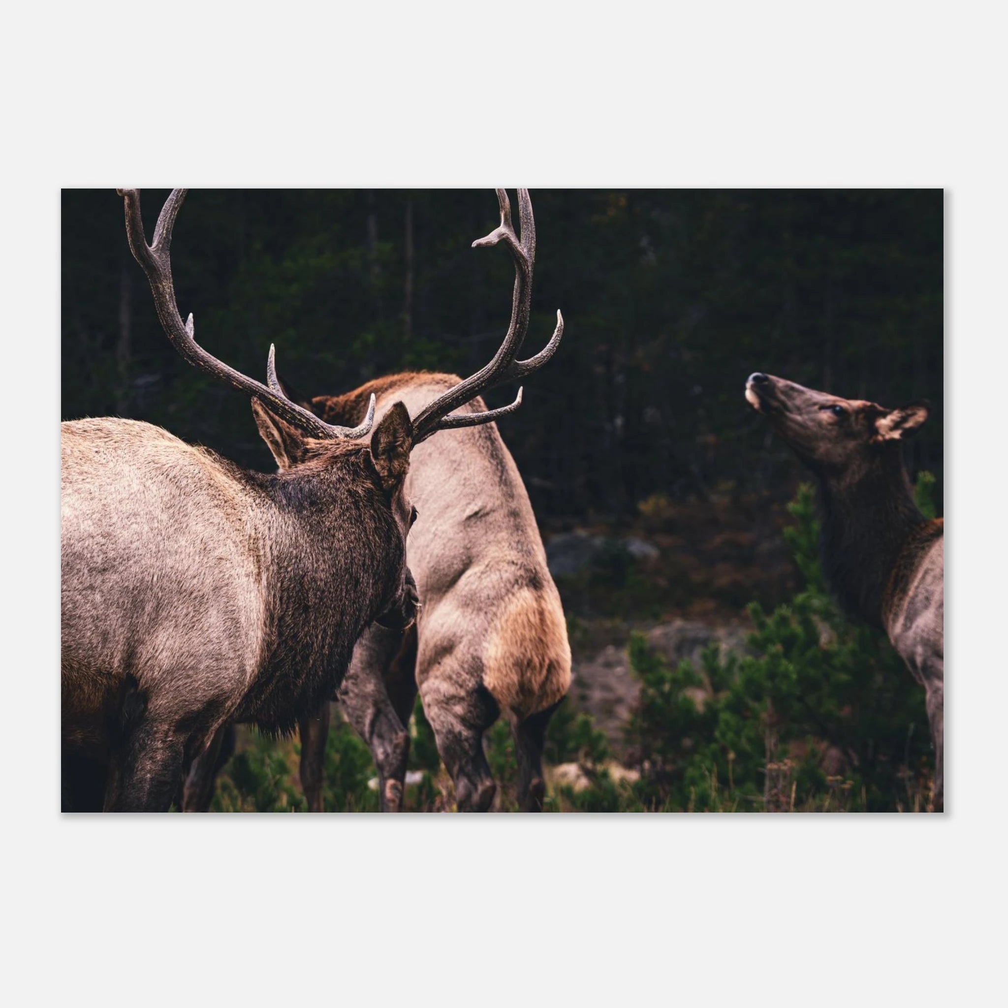 0545749e-83b5-42d1-8b83-8945f1e719fa