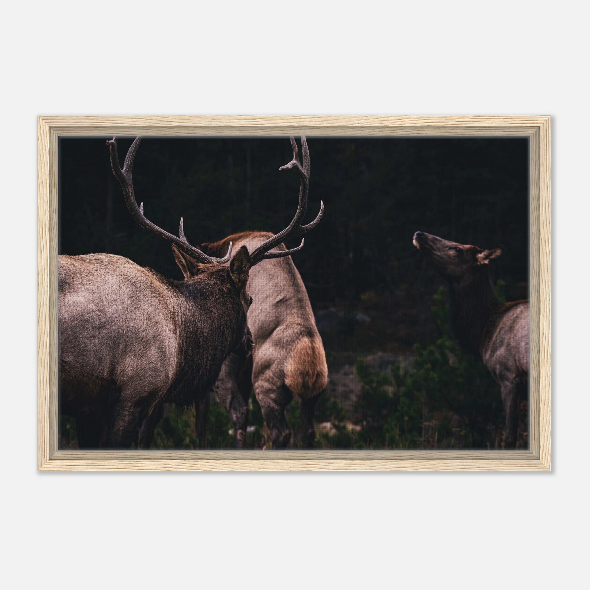 05504f75-2c39-4b87-9ff7-07e53cec2fe3