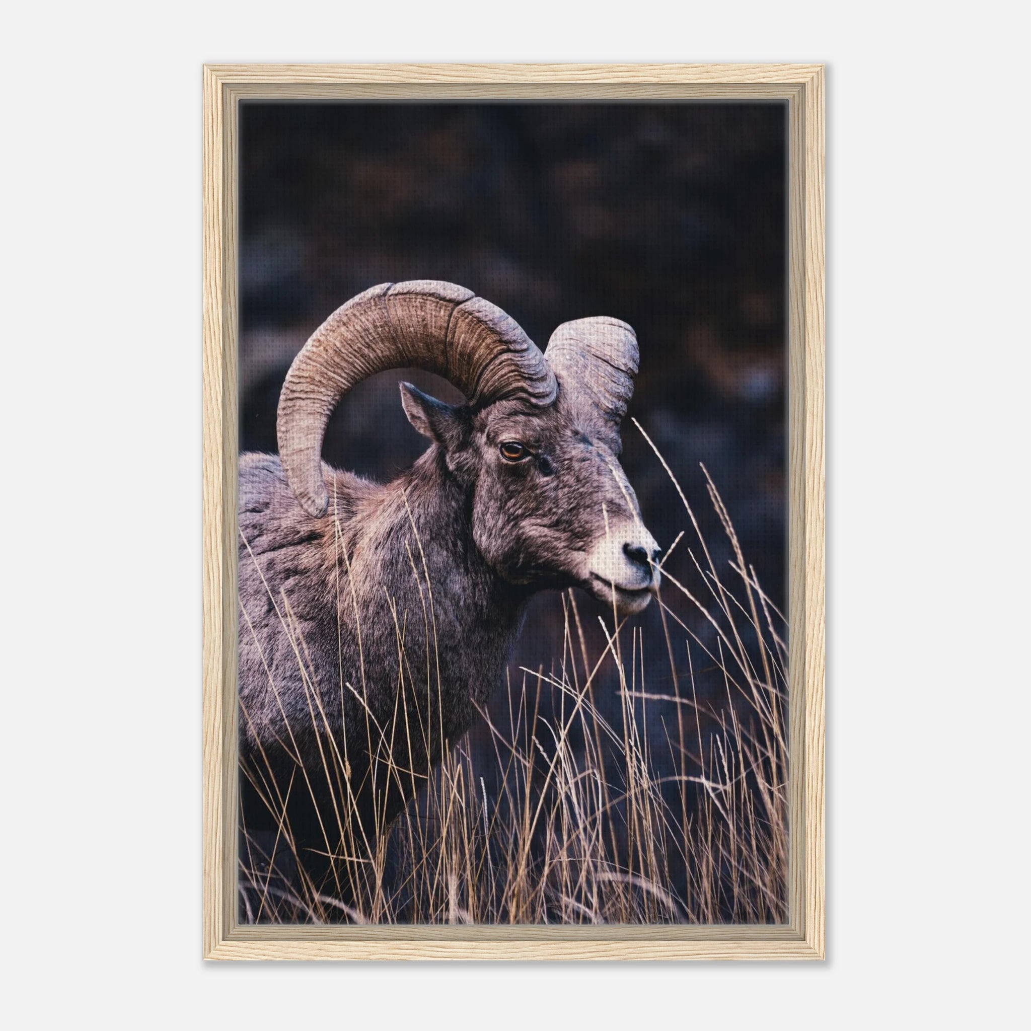 062b1957-f3bc-4026-b513-5e91a82affe8