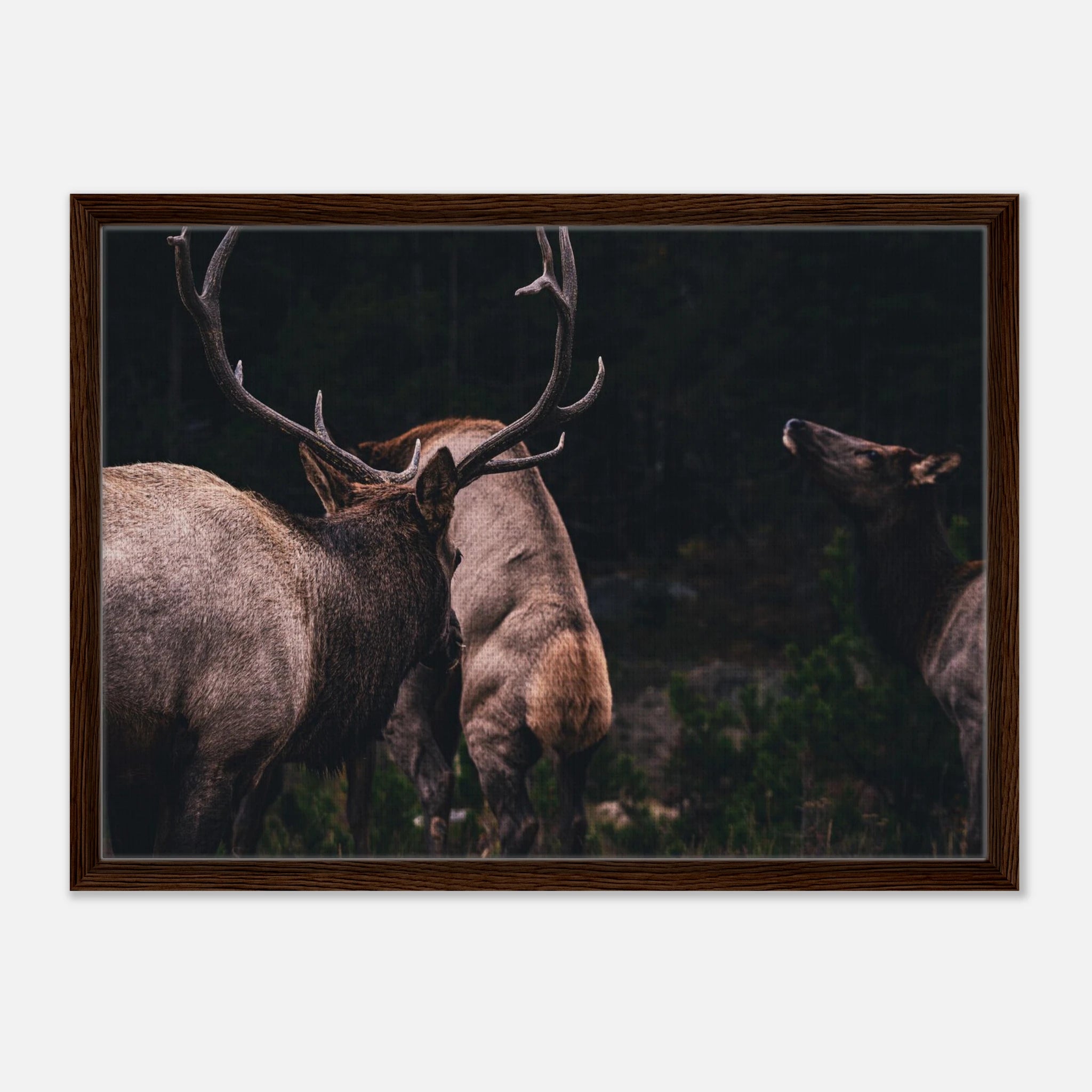 067190d2-86a3-45ce-9440-f0add8a3f6f7