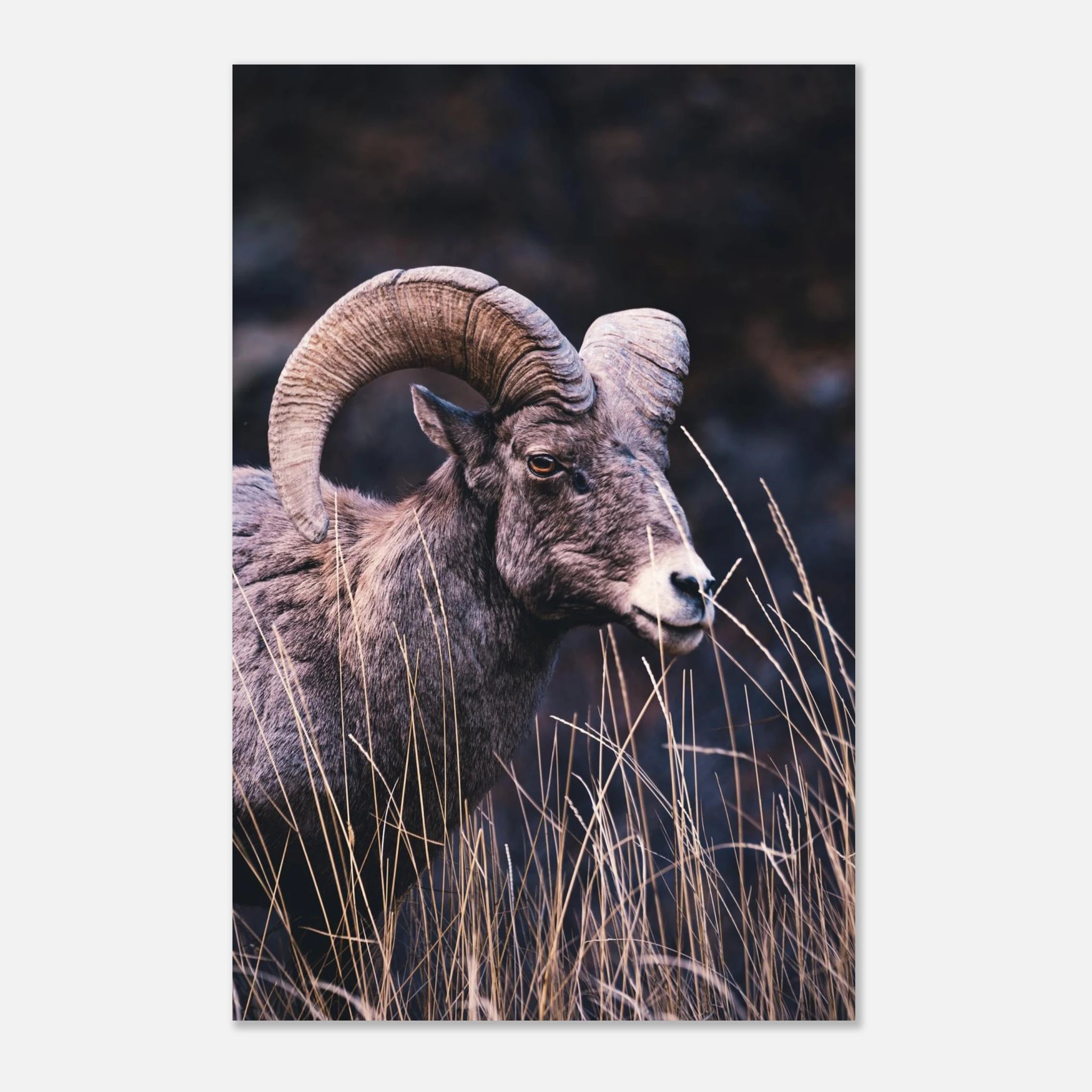 06aa3f5f-23ba-4566-931d-2a43a1881e15