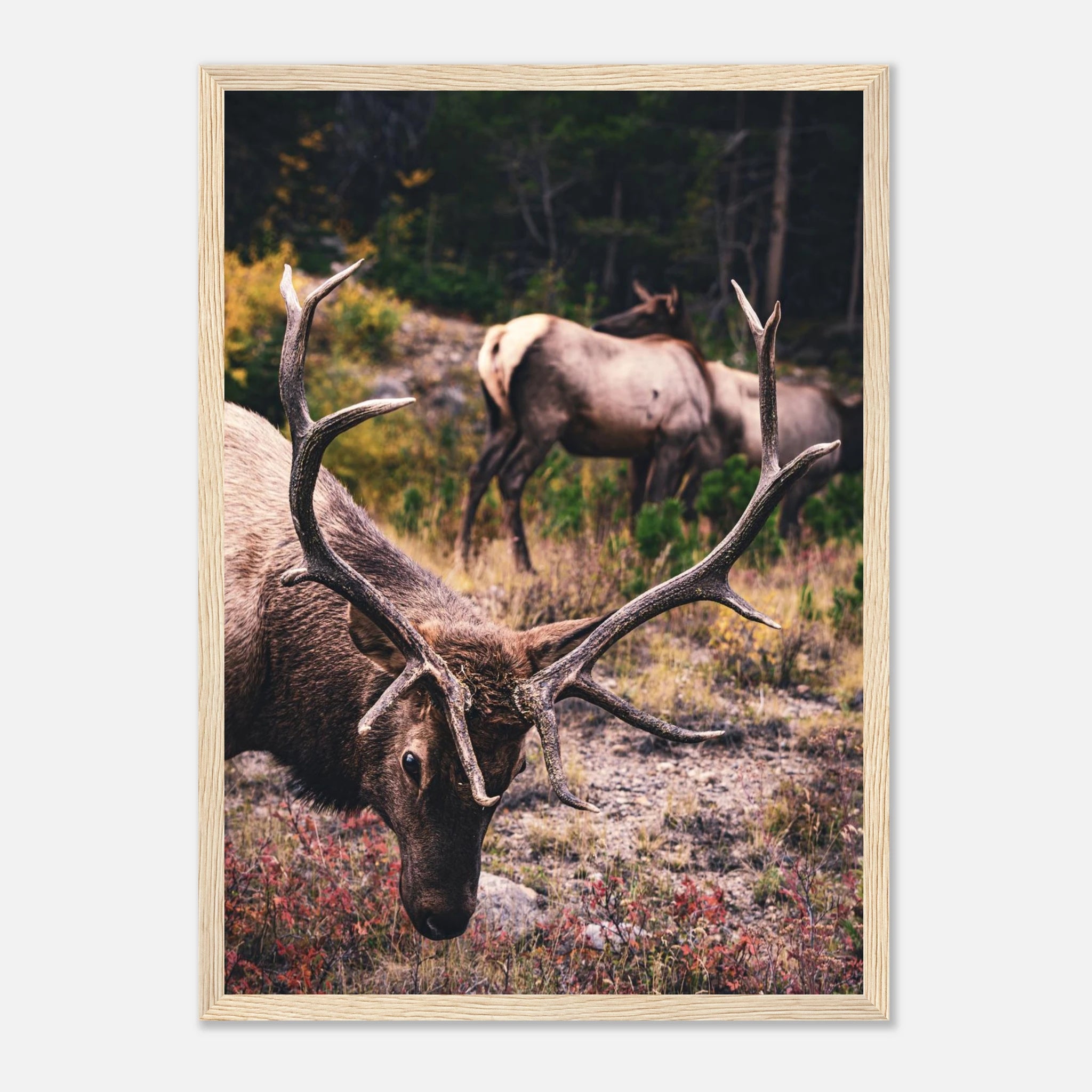 073e2940-69b5-4d85-917f-2d0313cf798f