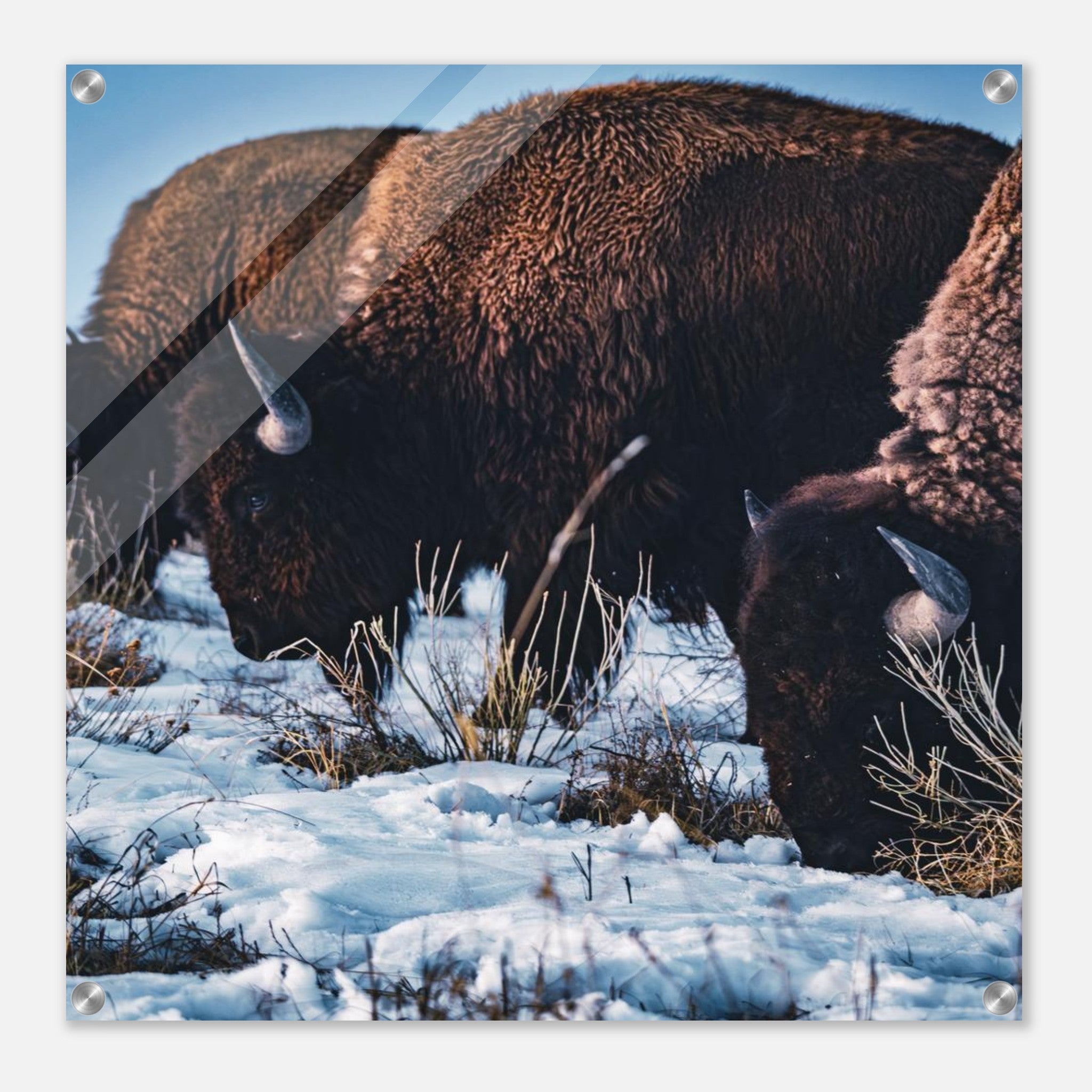 0784f7ce-4e88-46ae-ac2f-886df44f217c