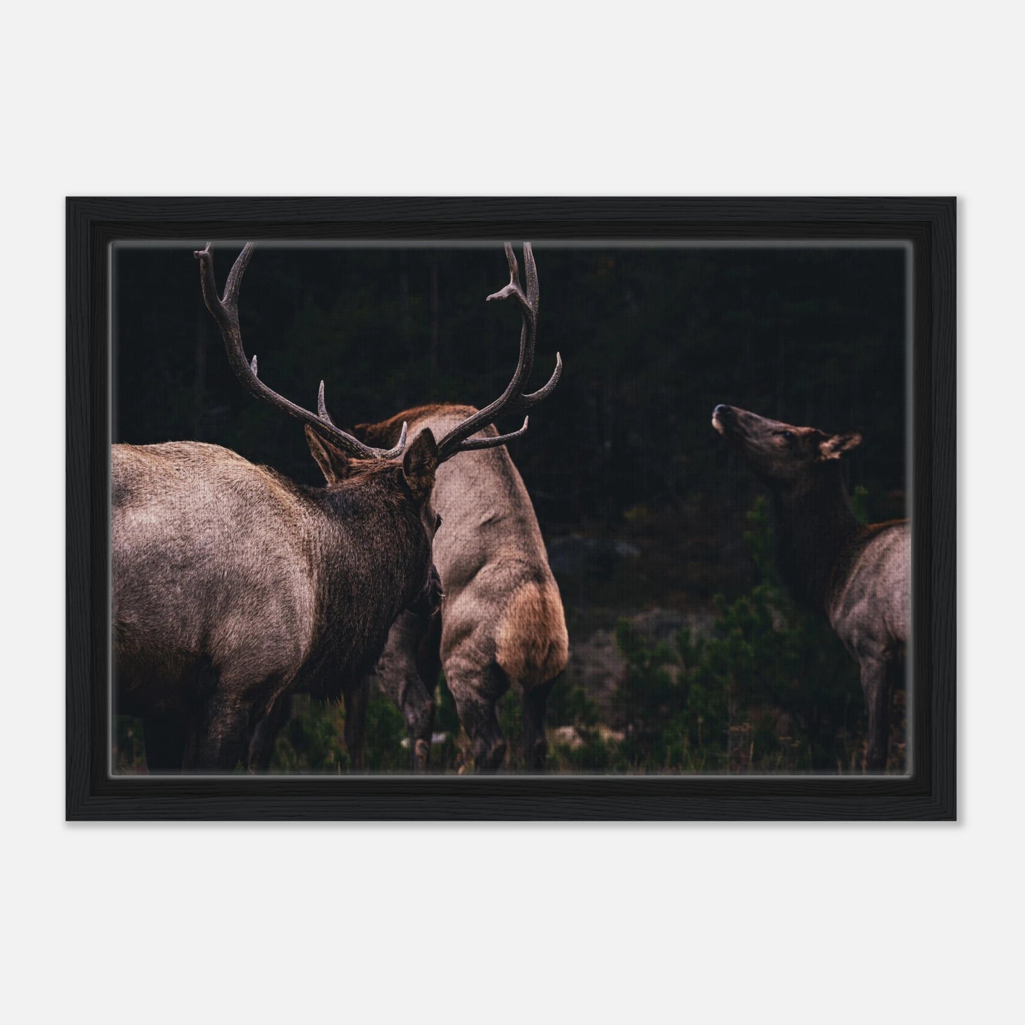 07f778e7-6c16-45ff-bc34-c59e2b1b6f93