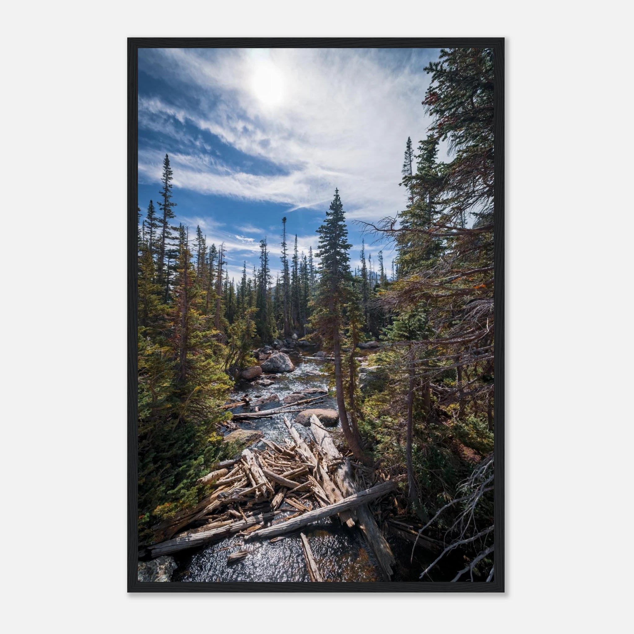 083586f3-9657-4d50-8d4e-efe033cc21e3