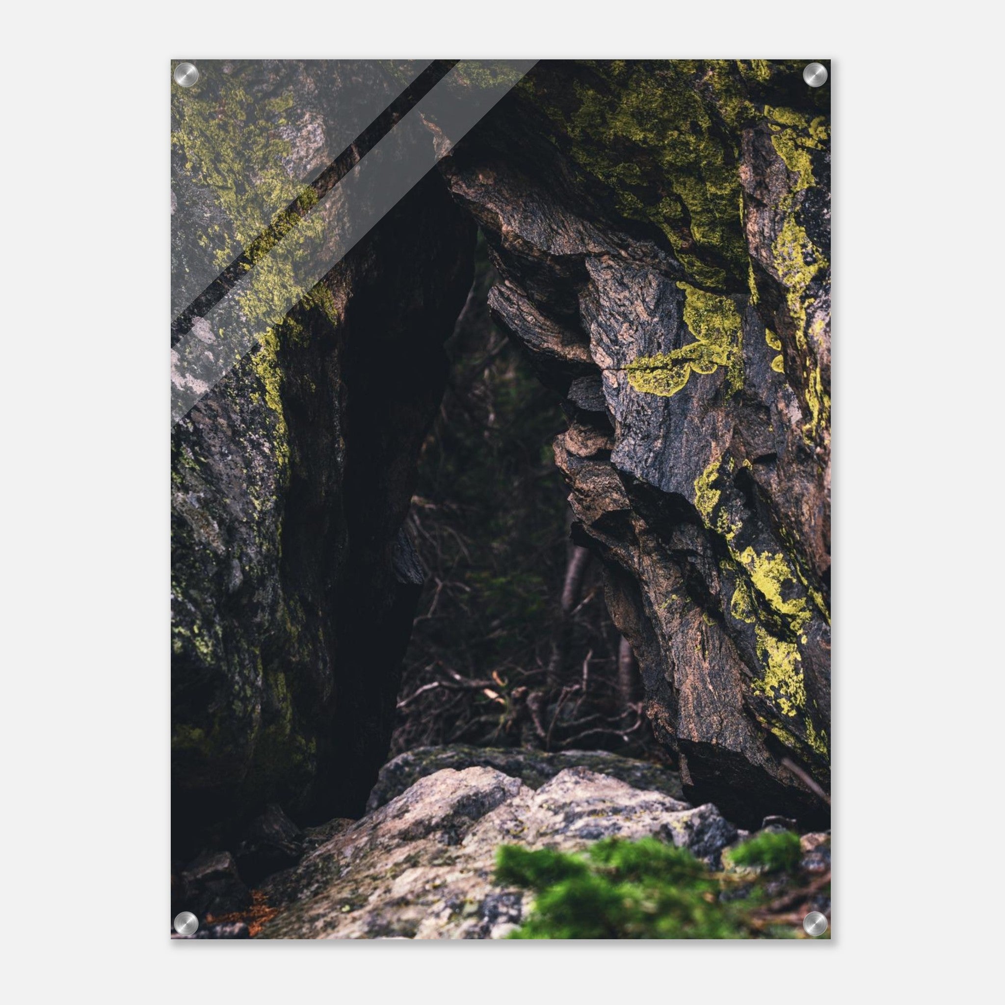 08753524-f96f-444f-9e0e-9e6acac9dd45