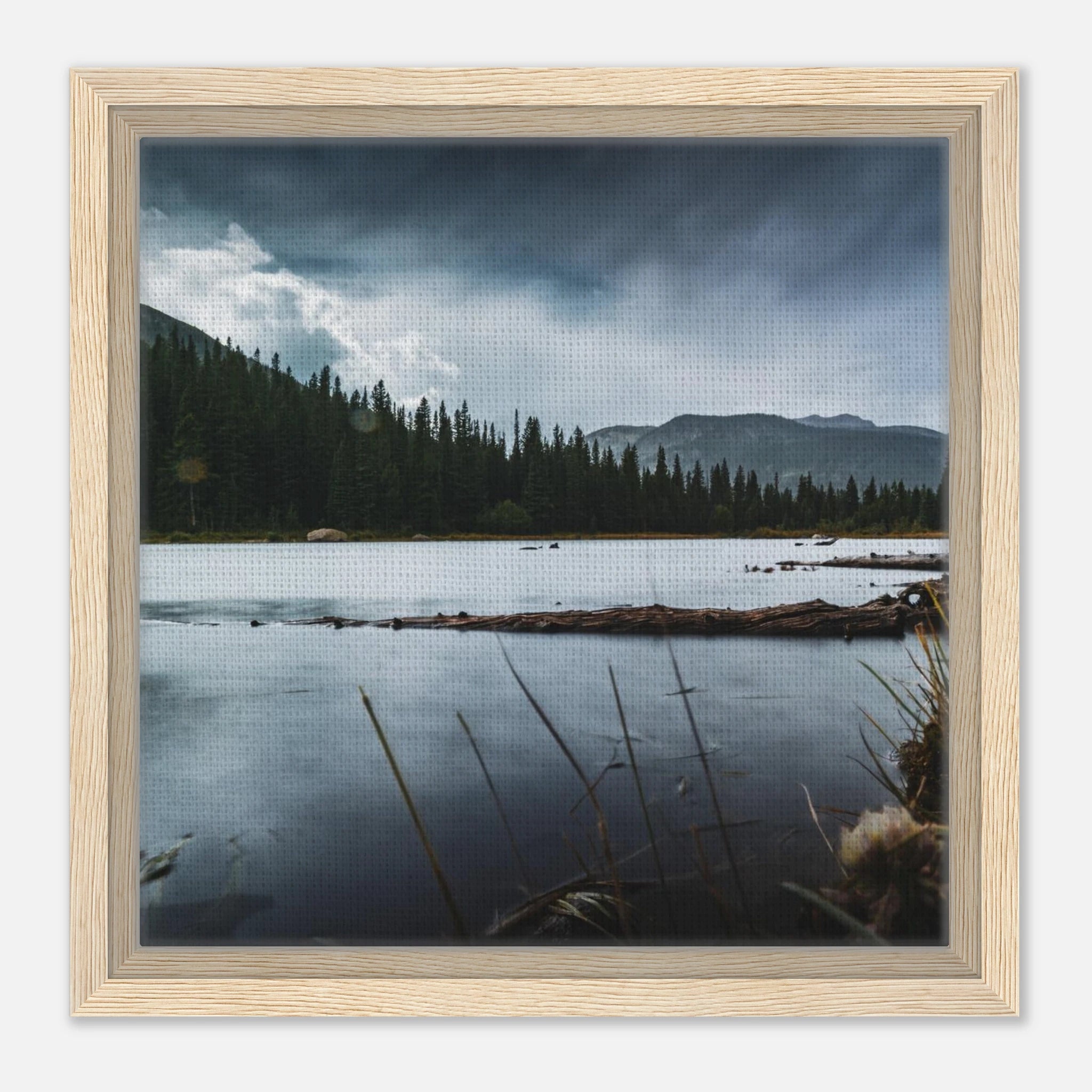 08b923bb-2898-48d2-9f80-7514f01bd891