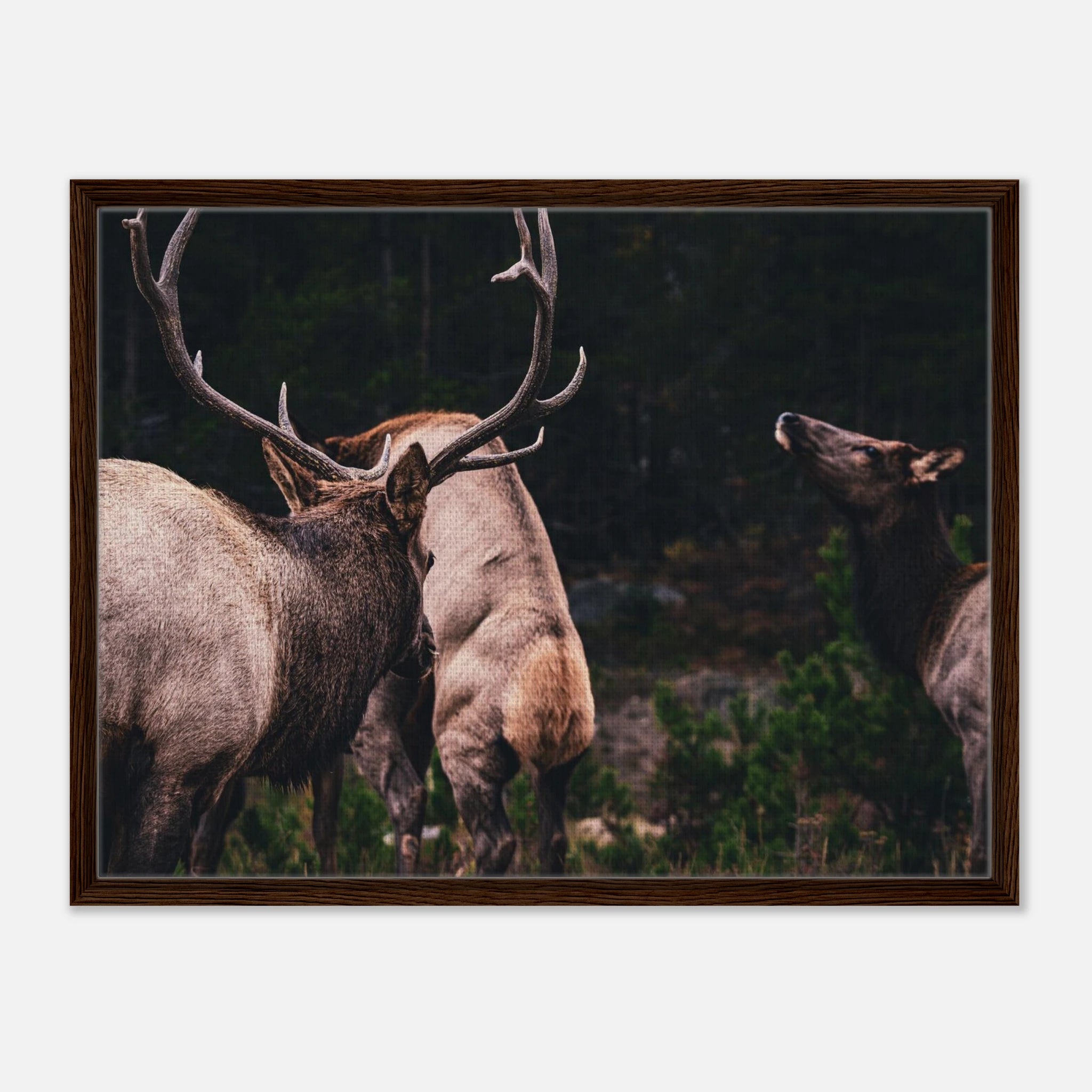 0a20bd4c-a7fb-4662-a9dc-53f5dec7b480