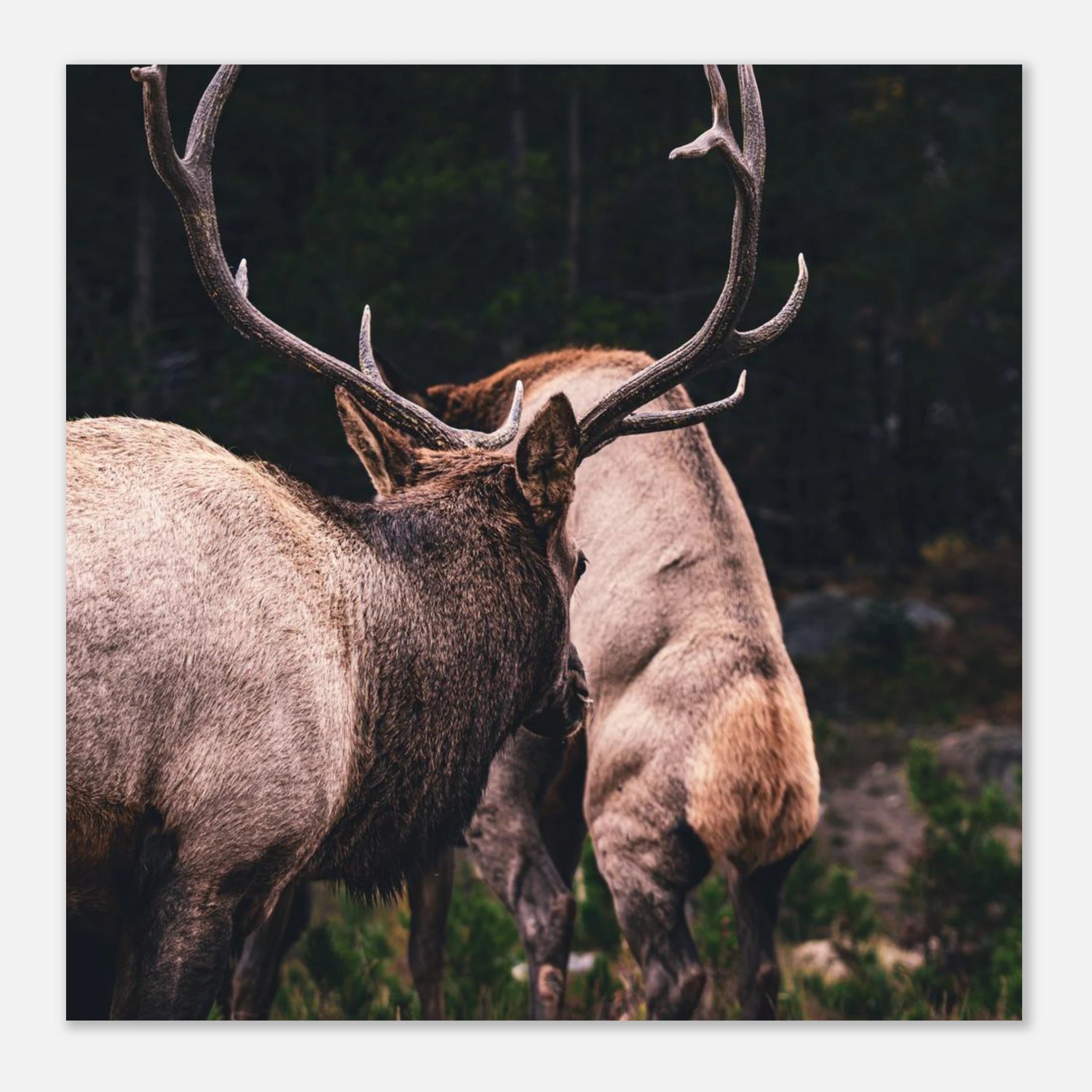 0a5b73ec-8540-4bae-8e2d-b2264050696c