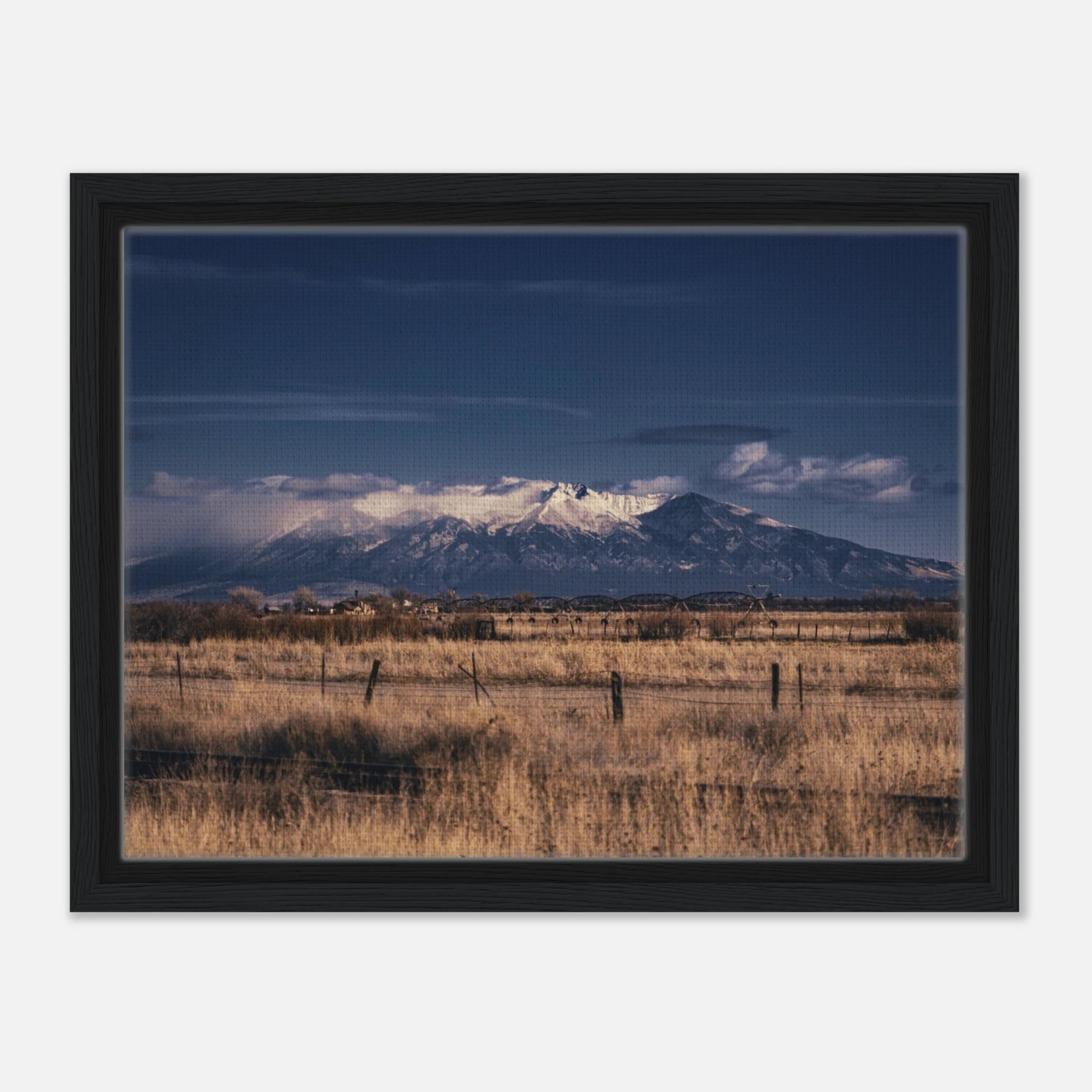 0b5a65a5-ba57-4c69-b559-bd021a495572