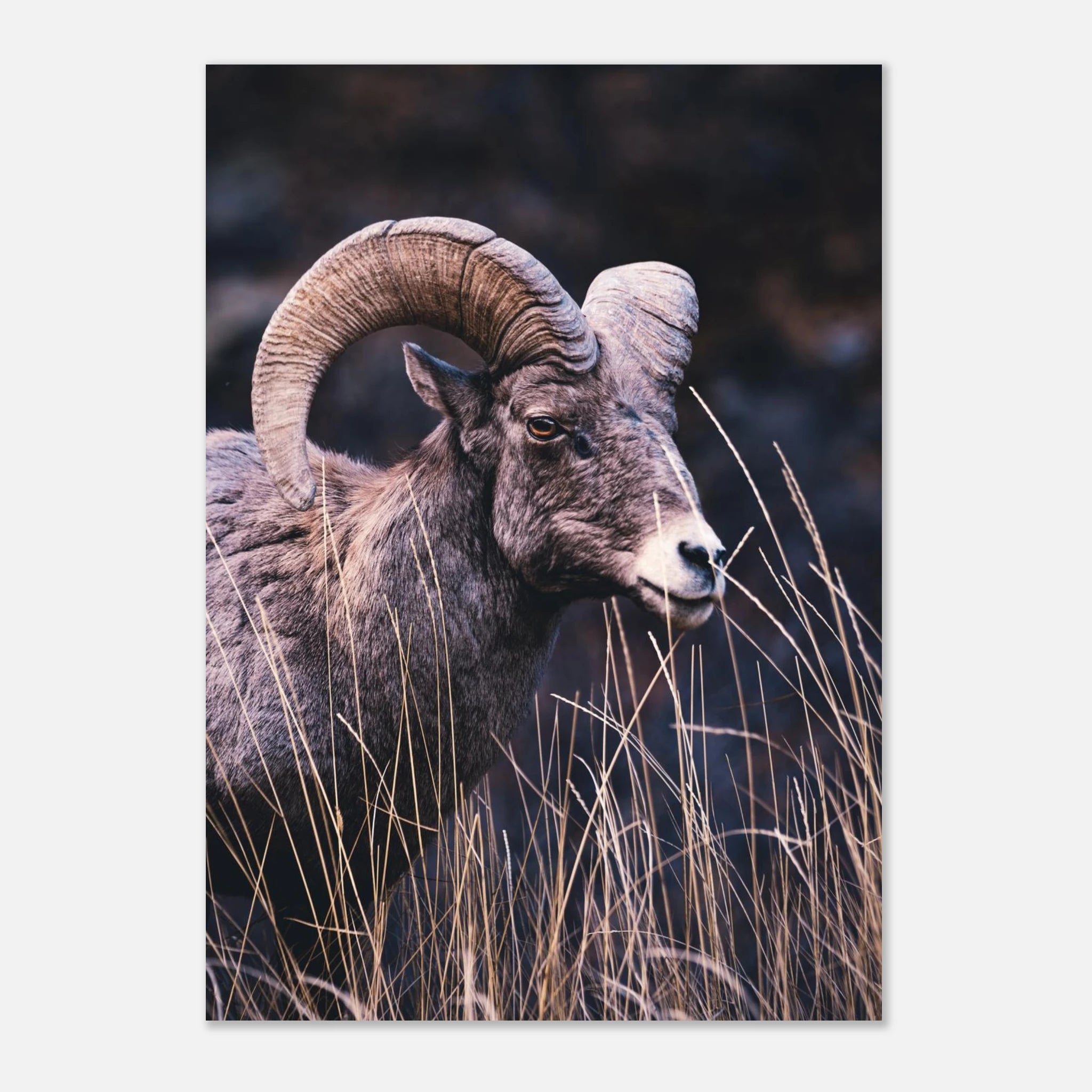 0f6067fe-c955-477b-9333-addbef261c32