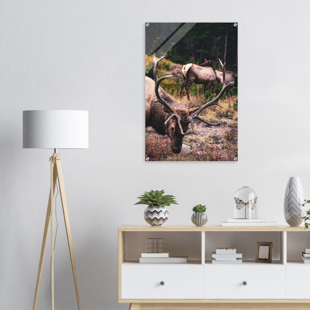 0f88c25c-8de0-413a-97d8-a00f34e6bd68