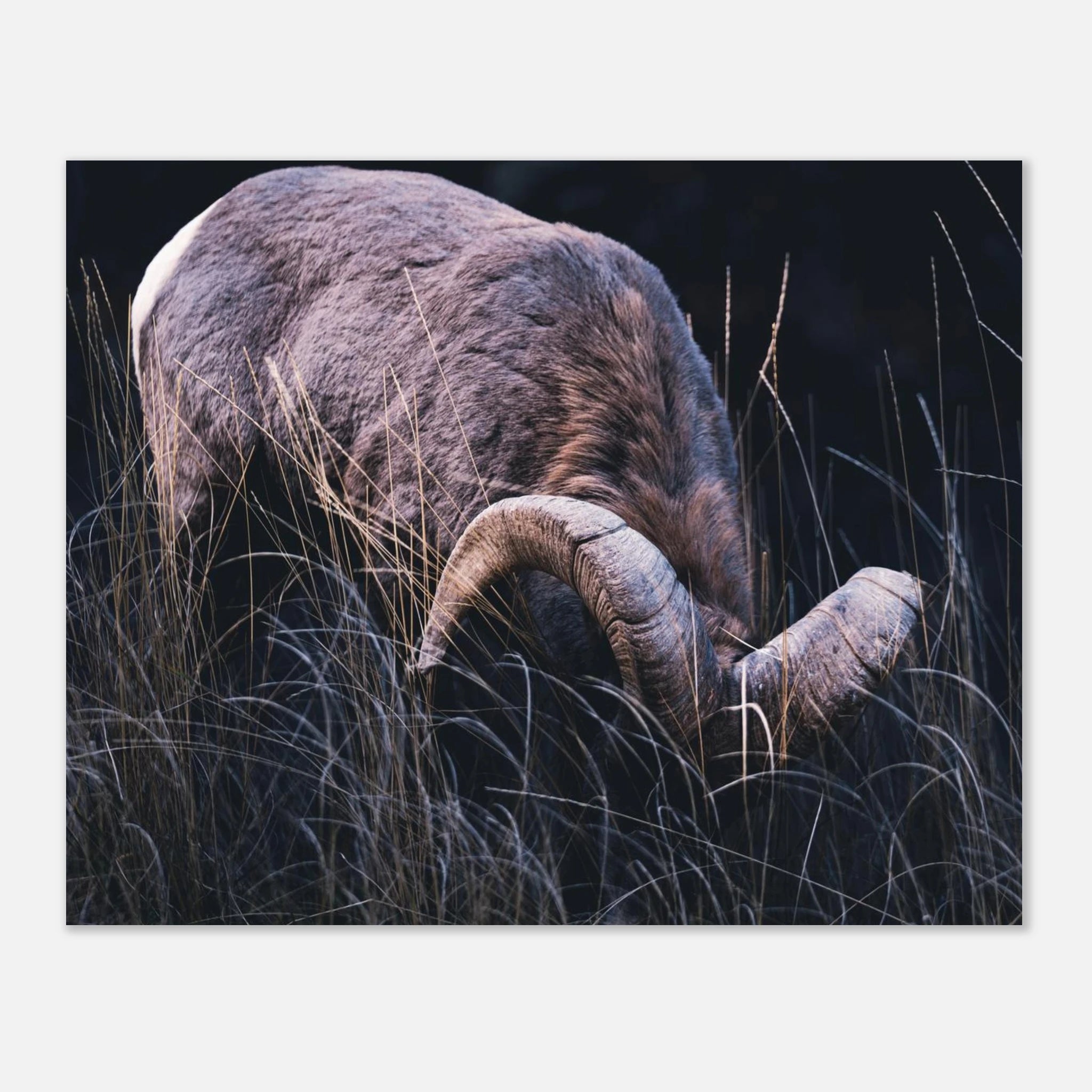 10abd98c-b0d6-4597-baa6-a353b8c86e39