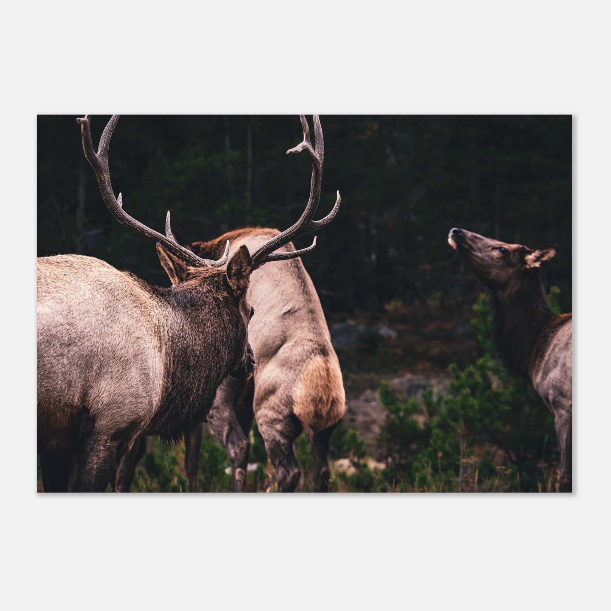 10b5d087-3a99-43ad-bee7-8a62be59af19