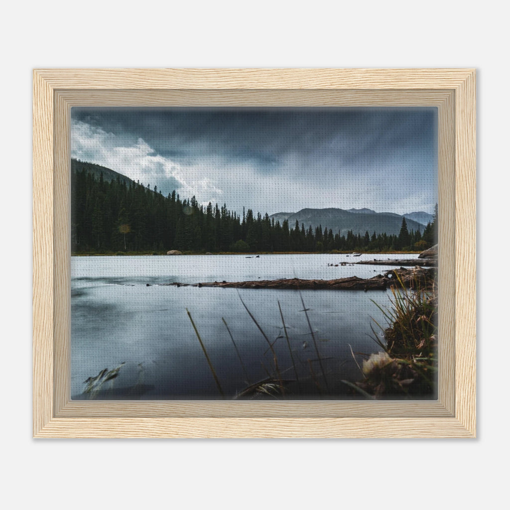 11122899-4158-4a91-900b-cee5c944aef8