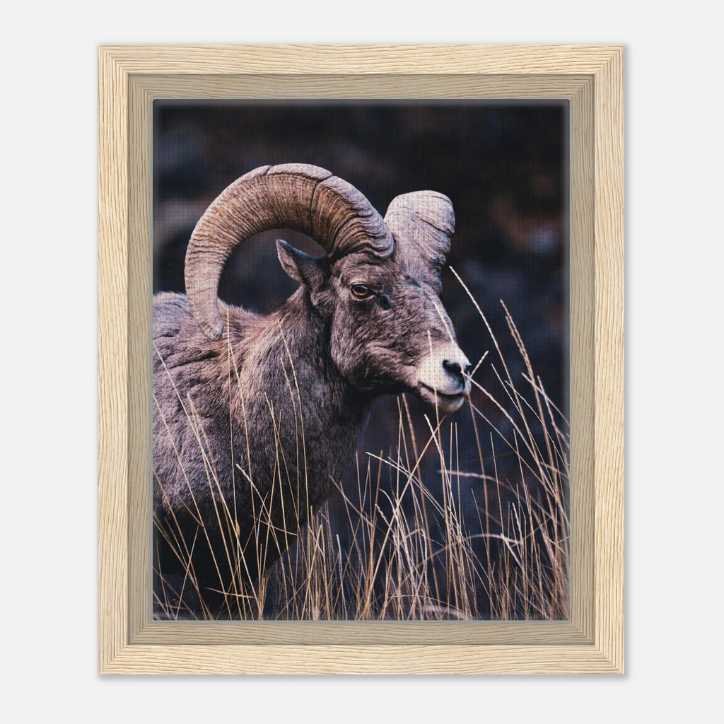 1217fd15-1a35-4d7b-acd9-578e61a3c8e4