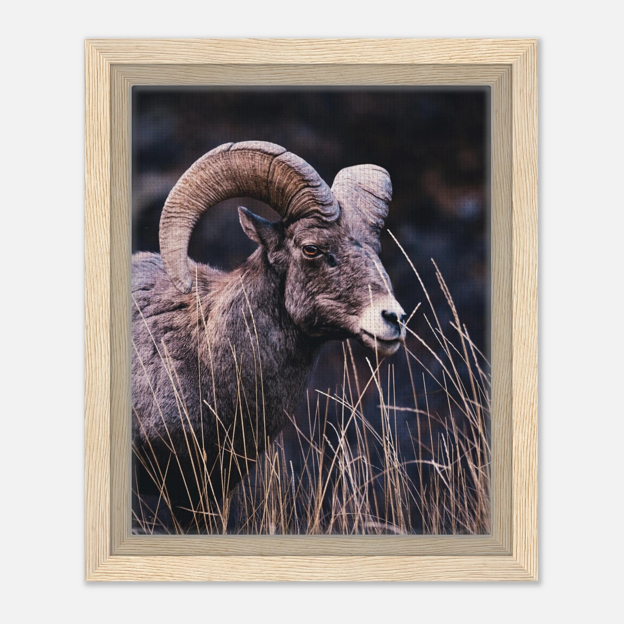 1217fd15-1a35-4d7b-acd9-578e61a3c8e4