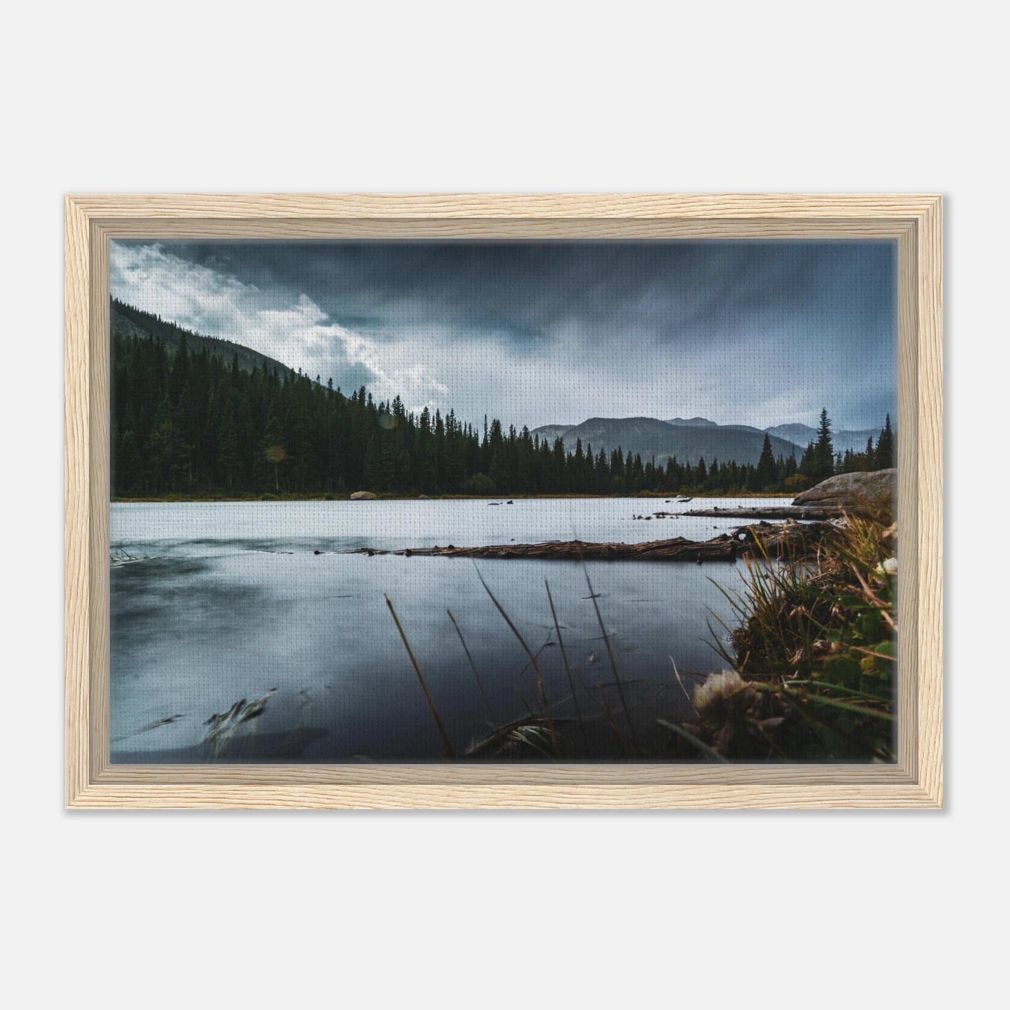 136e3e86-6c7e-4496-bd9f-1f4563f2863e