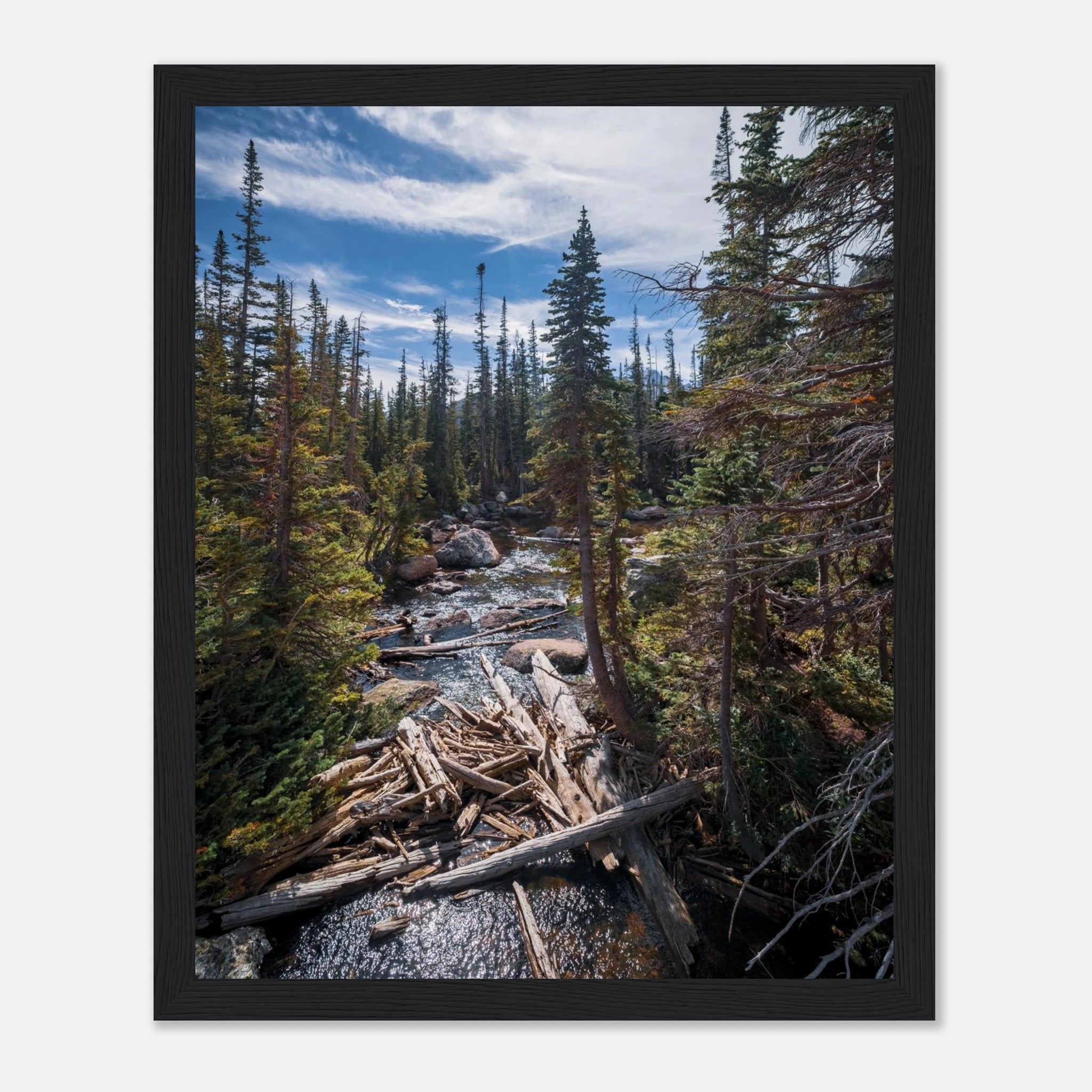 144f95f8-72df-4415-a262-b82dc68d2526