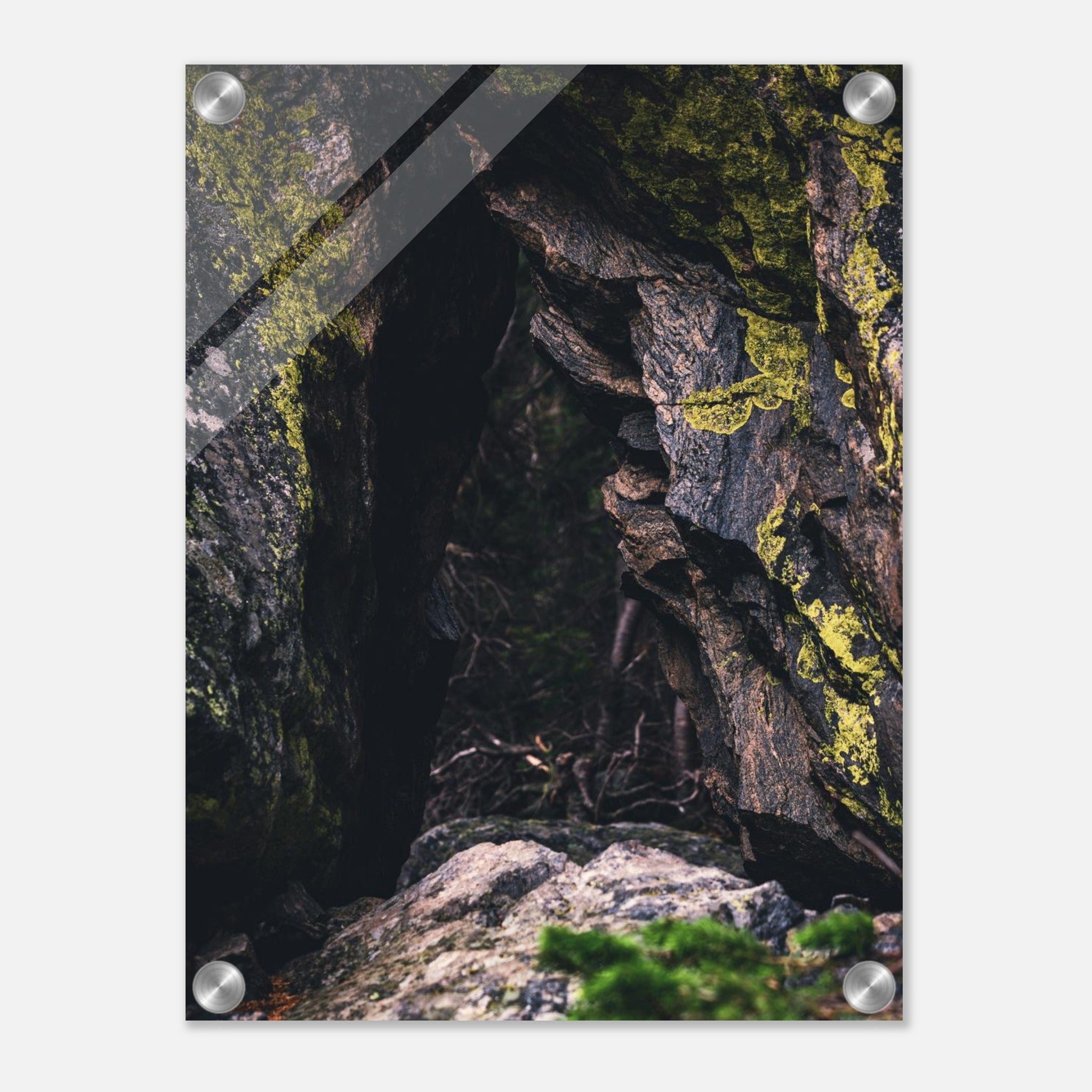 14ed849f-dc7e-4d73-81b6-1014880bd203