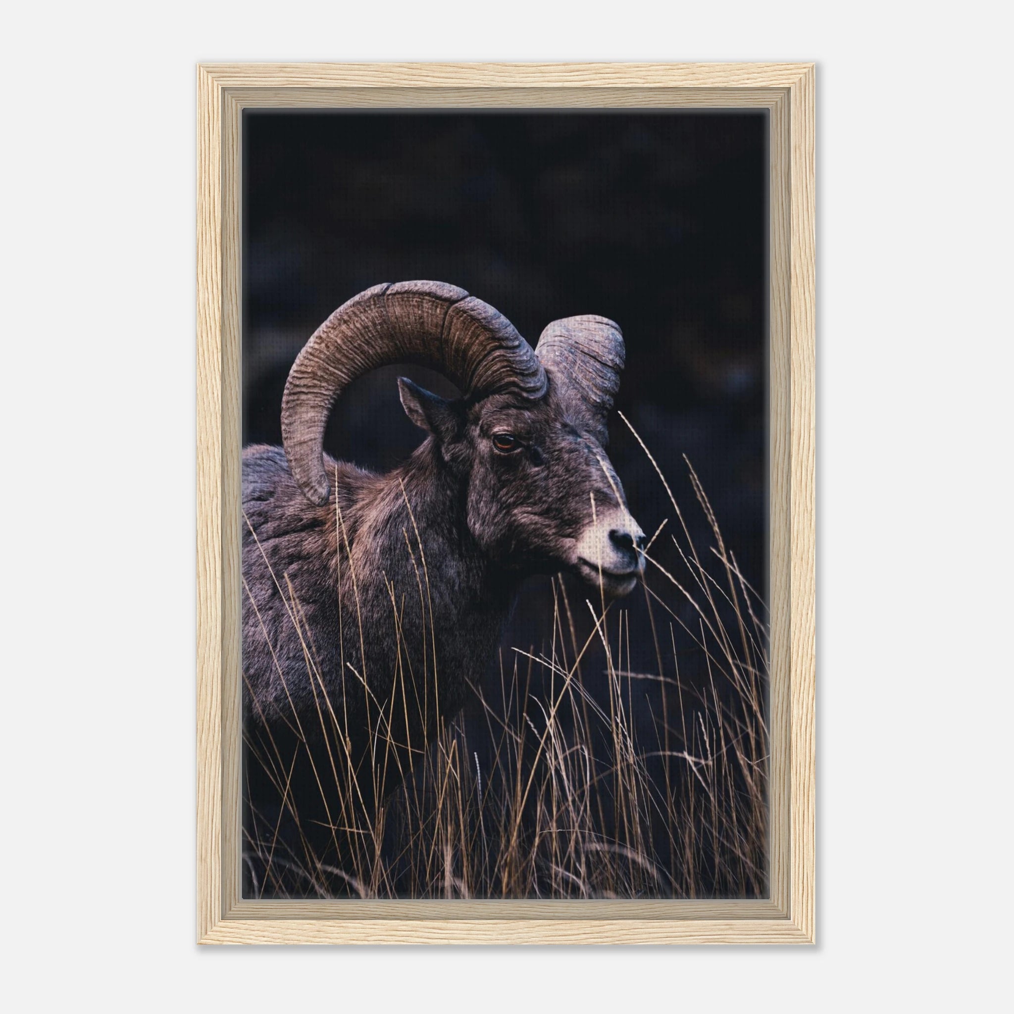 157eca02-4c90-412e-ab7e-a28a193b9cec