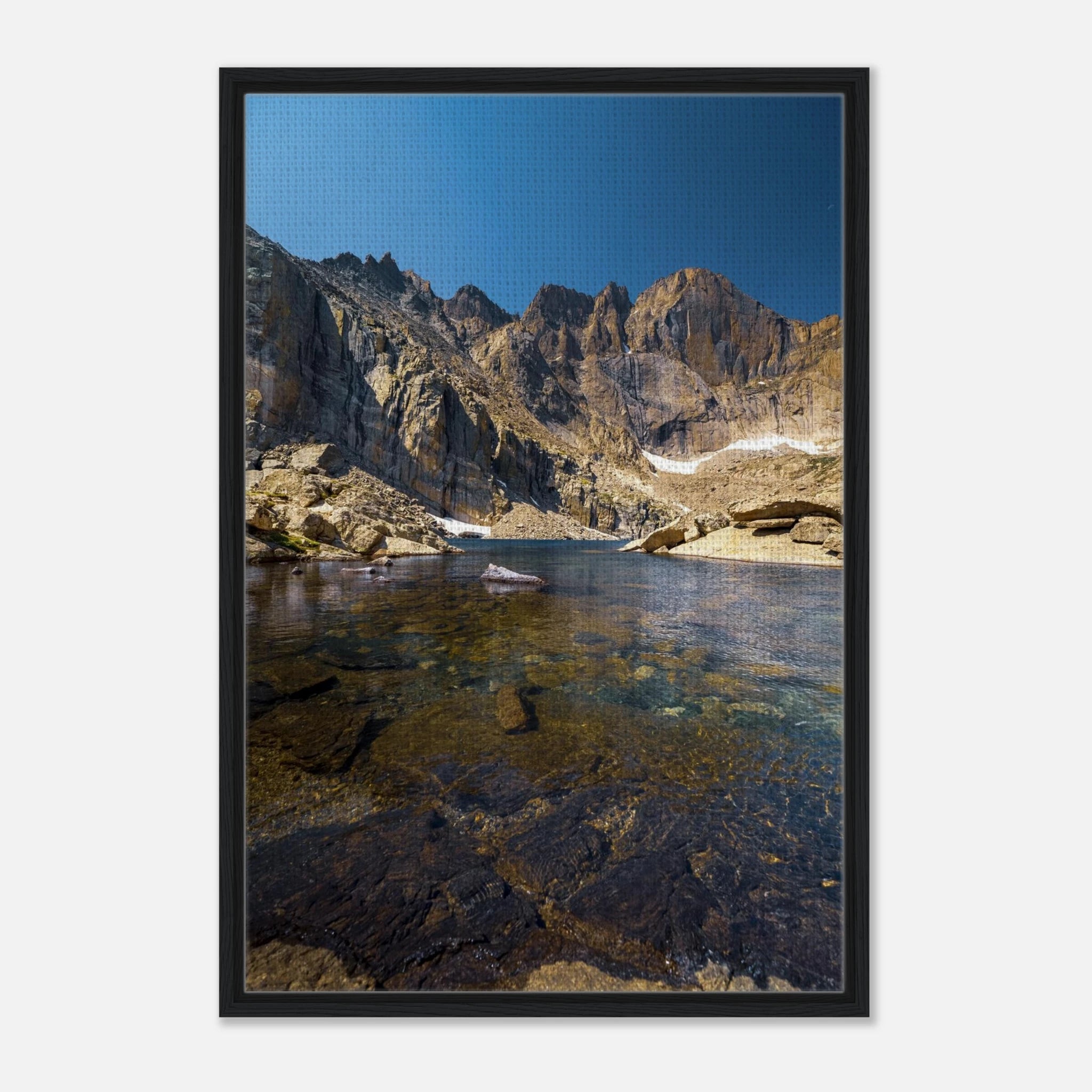 15ae4772-e169-4a88-a95d-372eddc11244