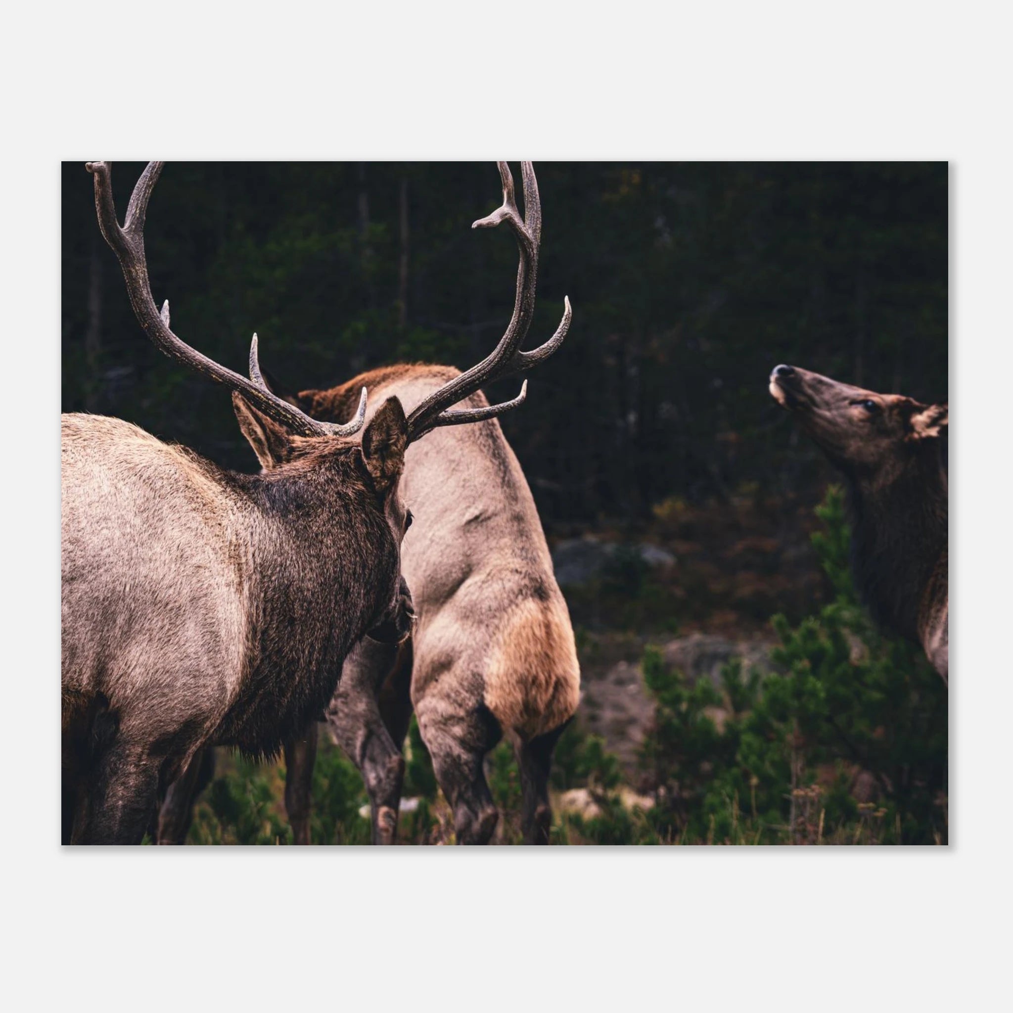 1613329d-3922-4797-8642-91d586fb7902