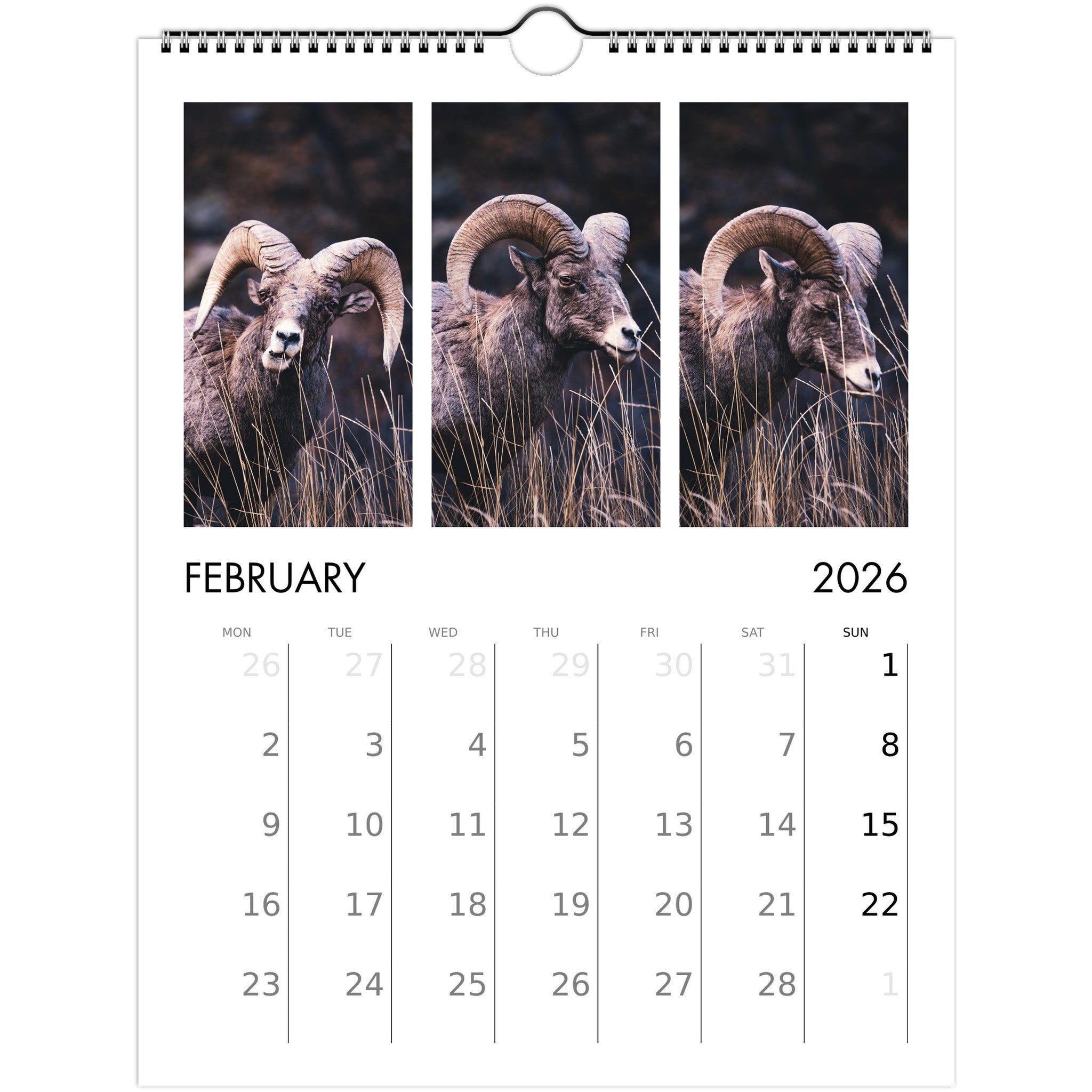 1759b7a5-f8f7-4f93-981b-5e46992a90fd