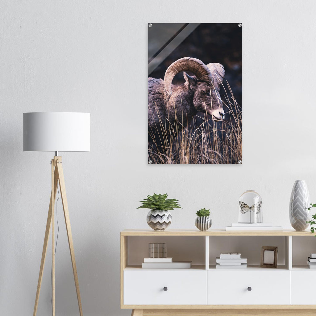 181bd9c4-6a2d-4518-9e23-353de26a11ce