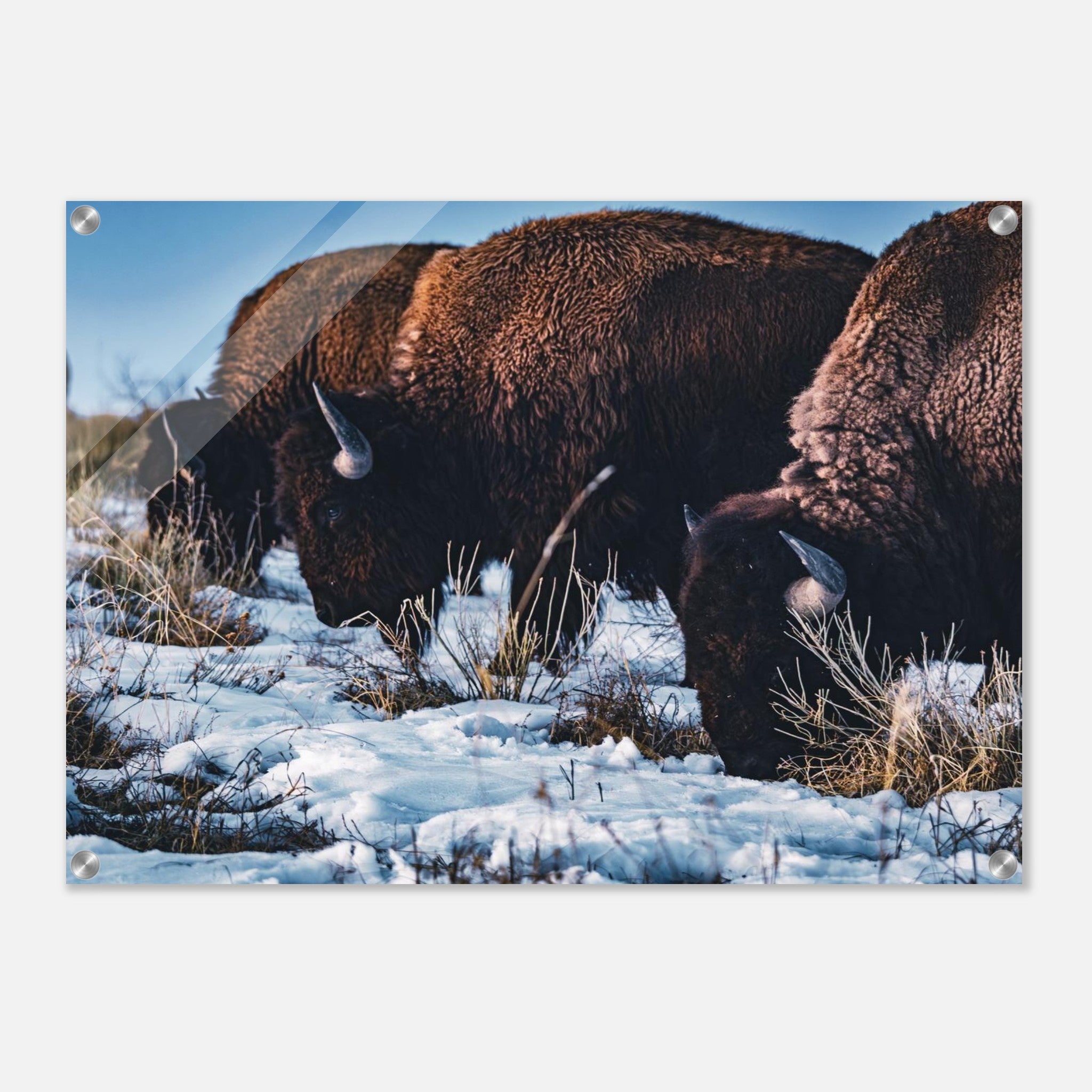 1a08e4af-50be-4221-9176-b123e84ec411