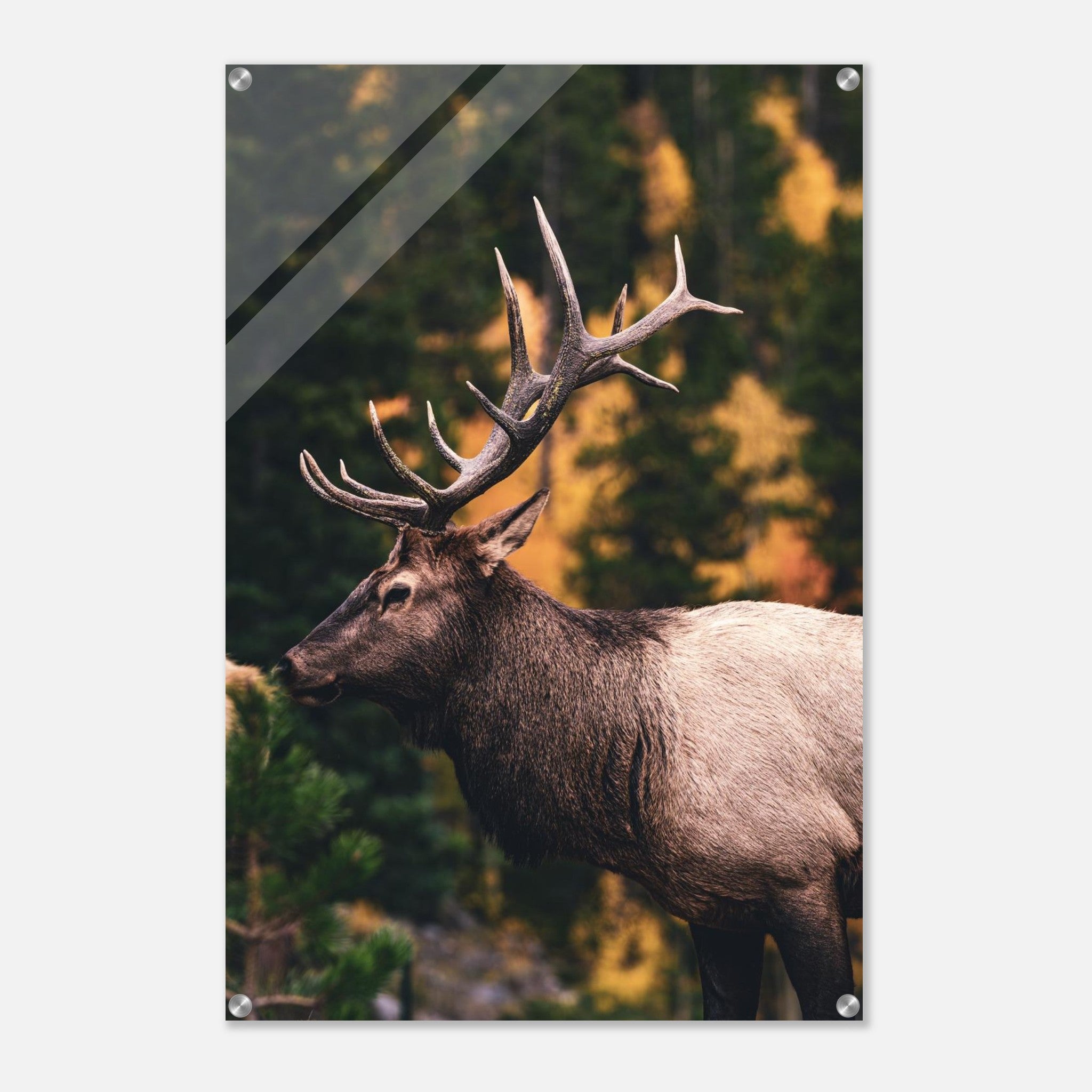 1a0fff36-4e65-4094-a126-8589fffc29c5