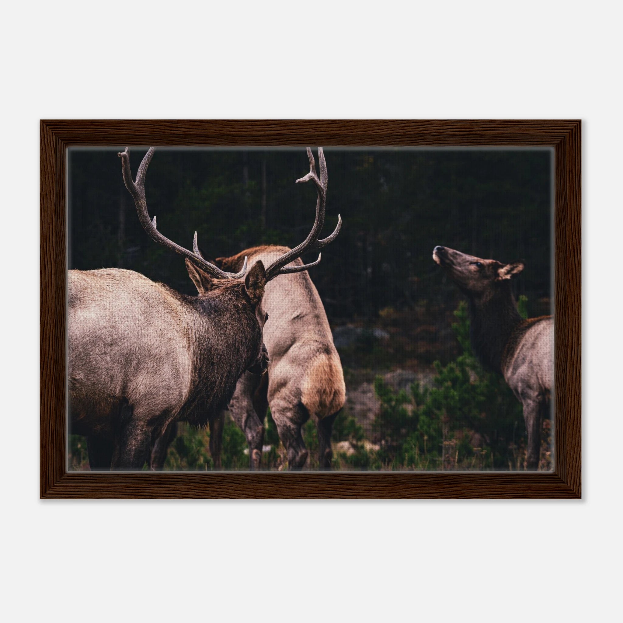 1aa2300e-bab7-474f-a328-b263b11f3ca3