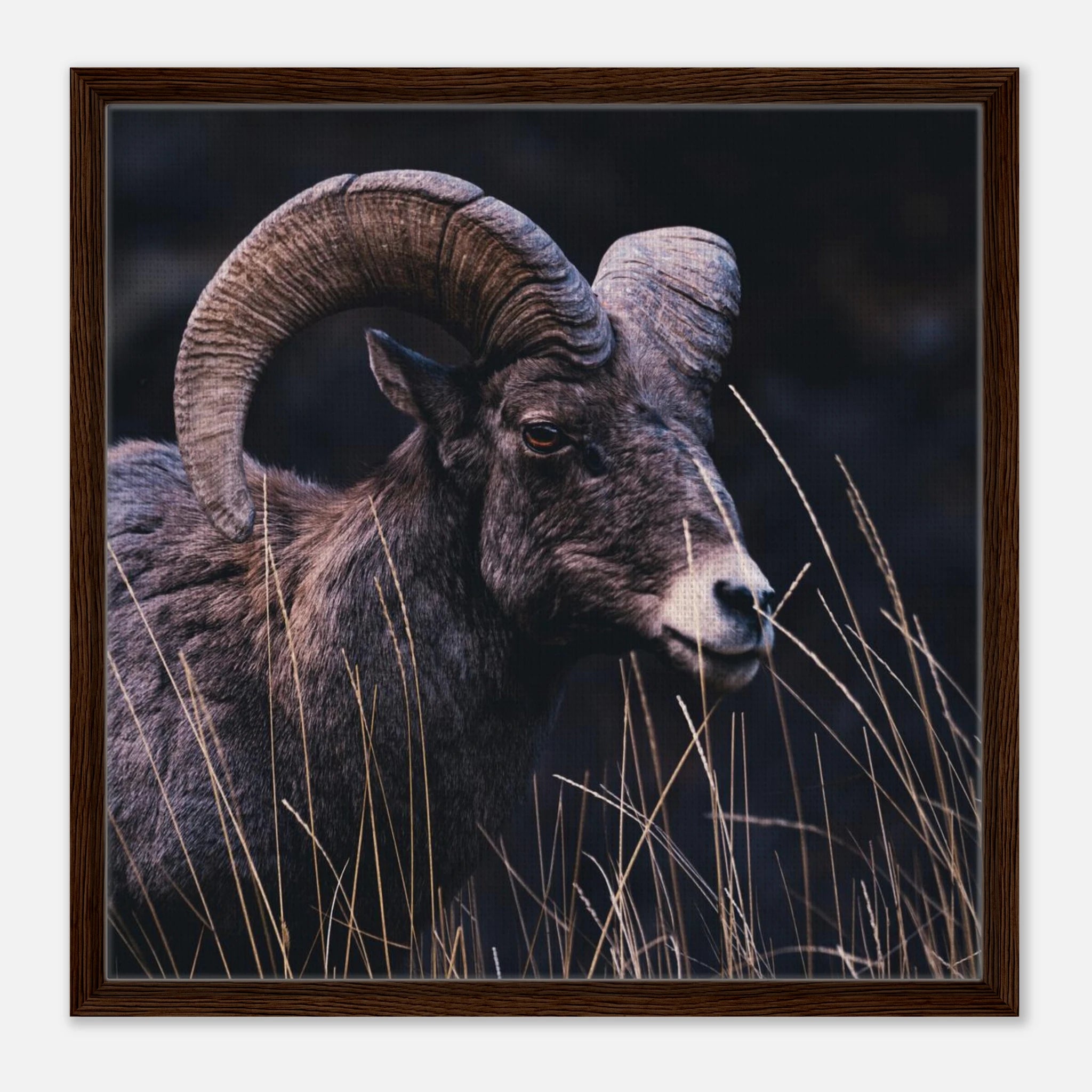 1ab740ca-0c3a-466d-9d73-93e05f17364a