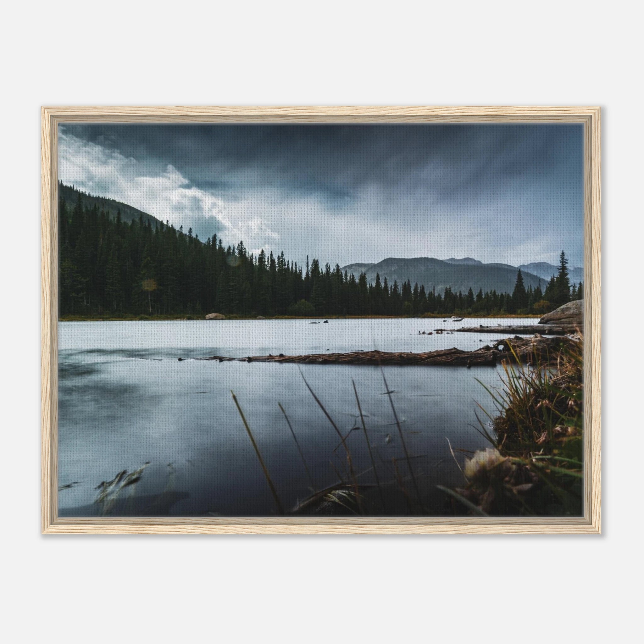 1c61f5fe-f49e-4717-ac66-735634eb5b97