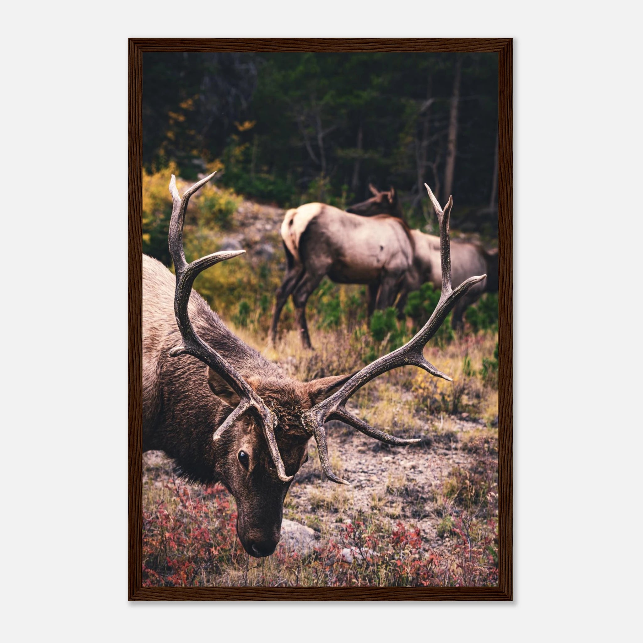 1ca035a7-a636-41fe-bb02-f5fb0d90e542