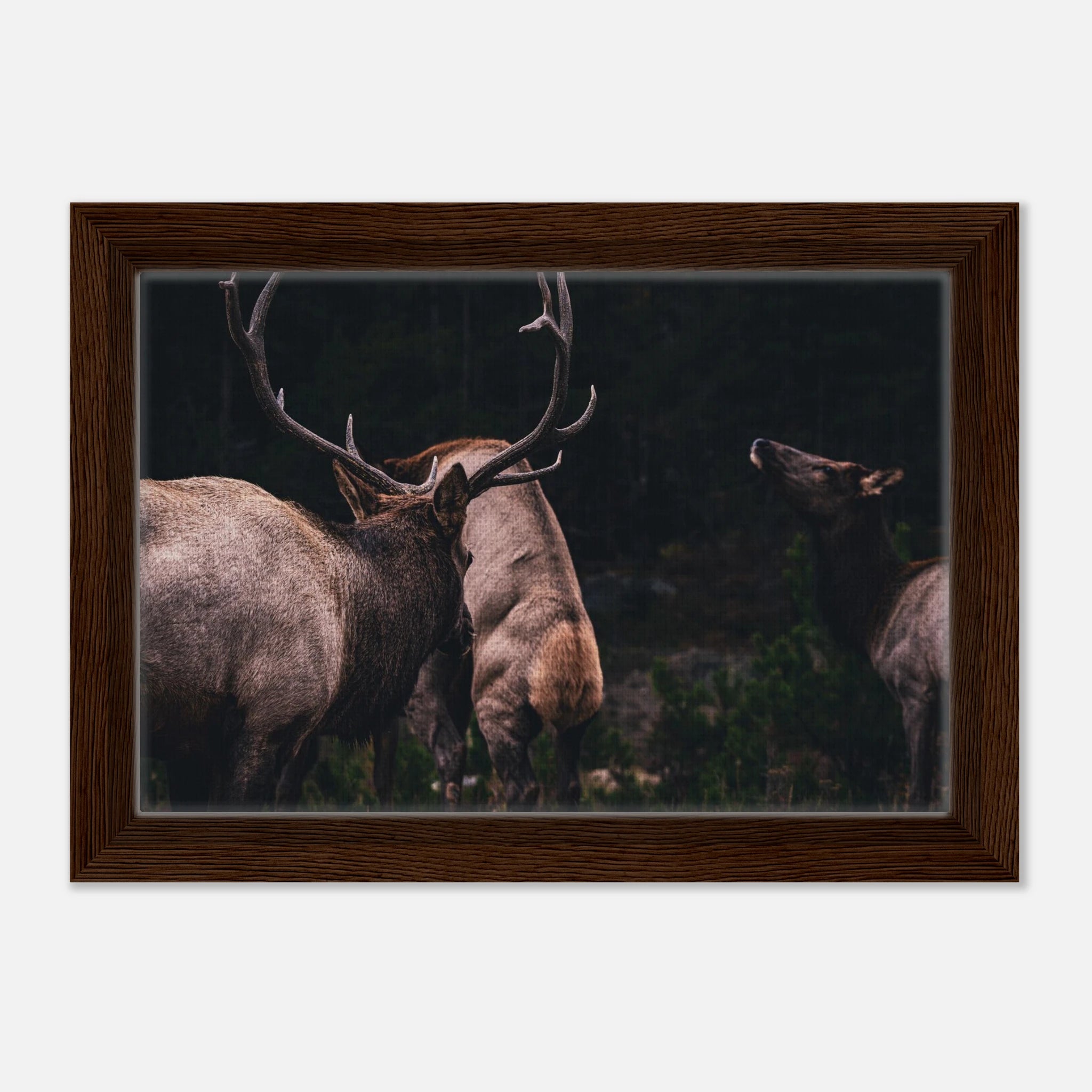 1dd4e931-d676-40c6-983f-3223d2da8e06