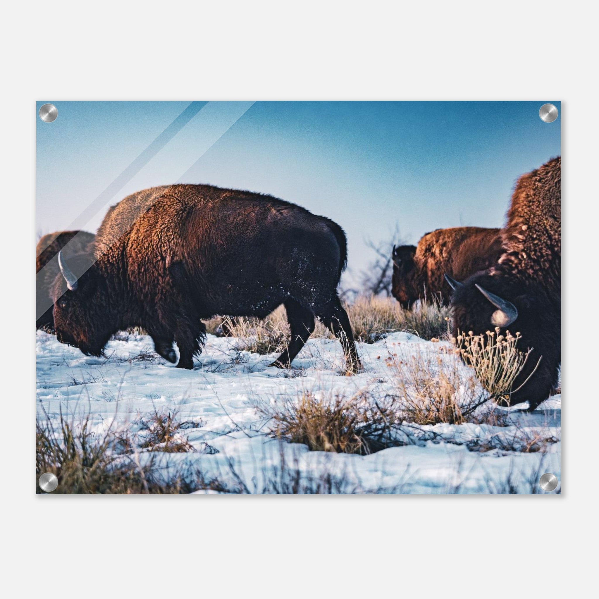 1e58e24d-2a7e-4669-a351-1084b6f0c514