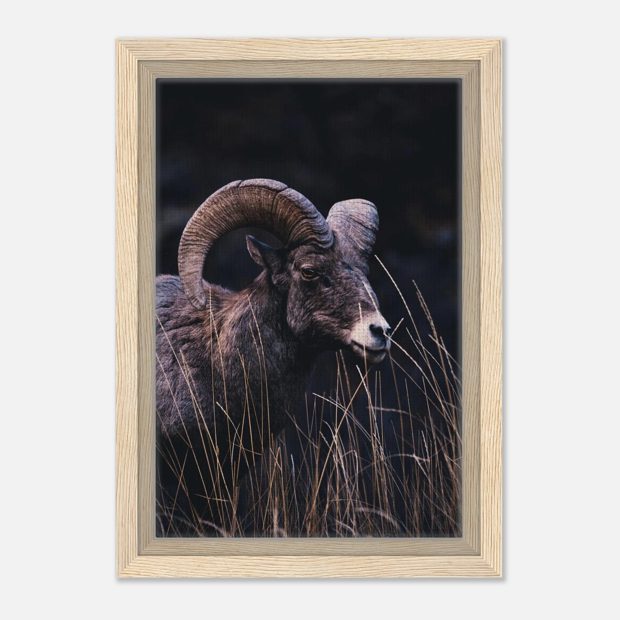 1e96f60f-28d6-42ea-9296-96b1394892c0