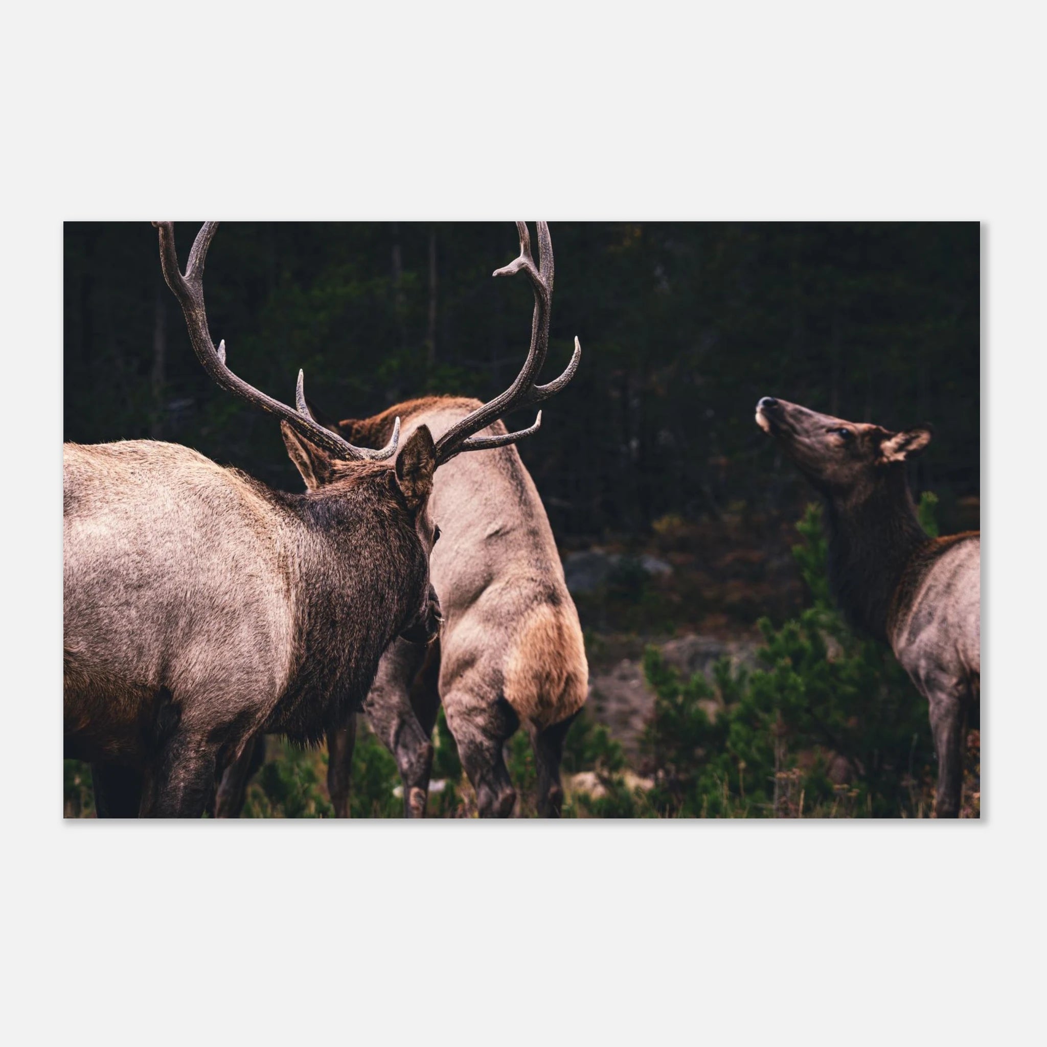 21aae749-9c9e-4986-ae24-fae7493eee51