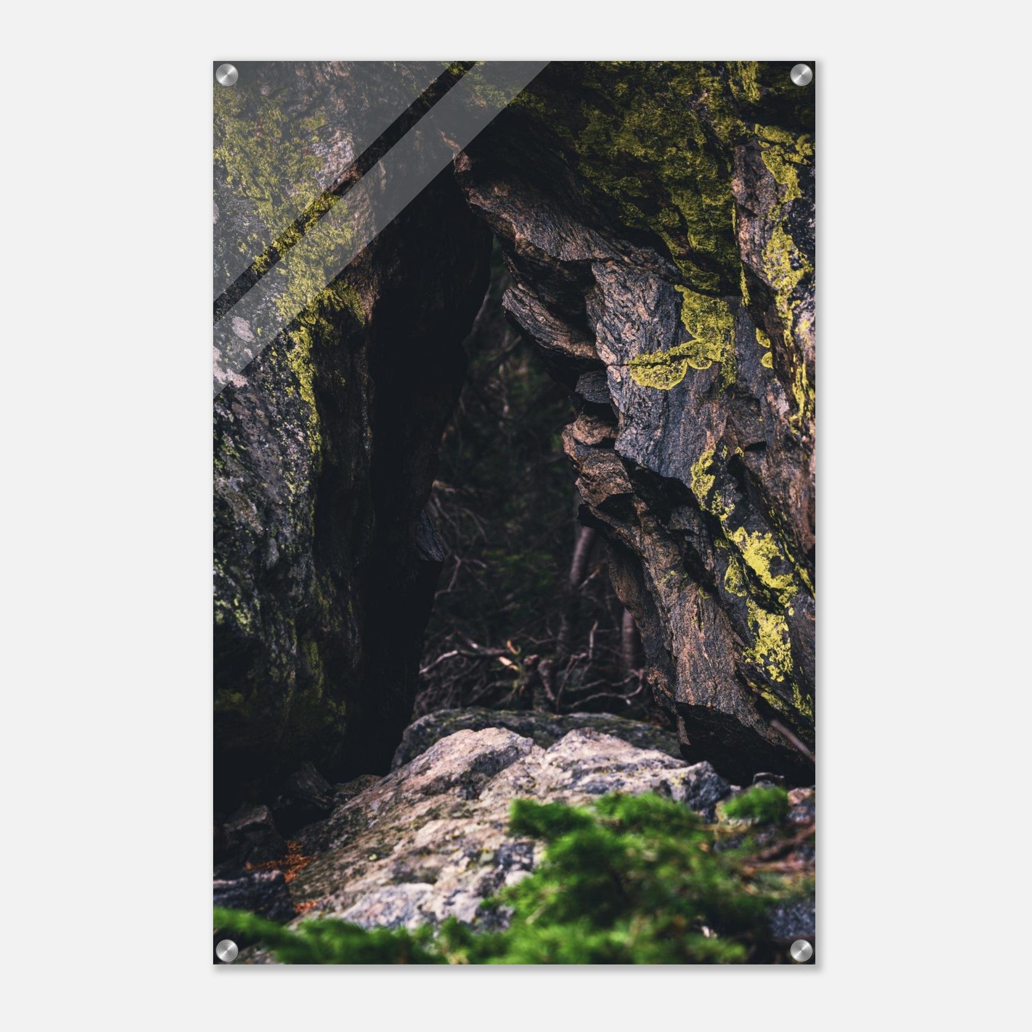 21fdb0ba-d8f5-4cb2-9f38-8417f9da4413