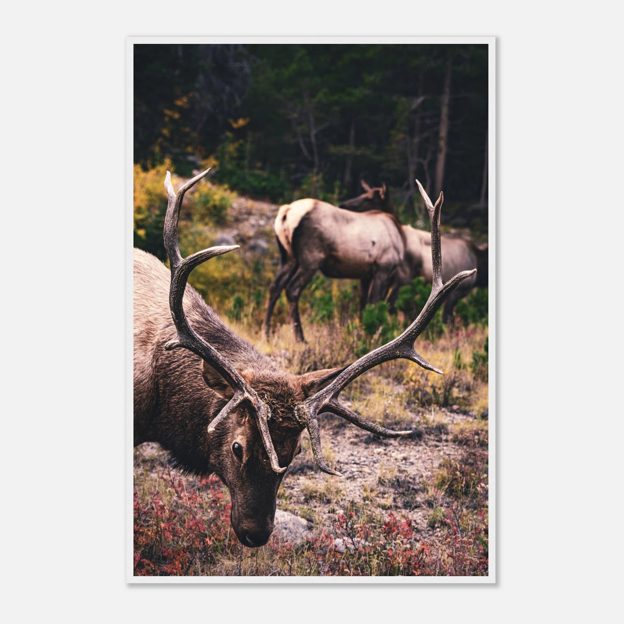 228c129c-47d9-490e-8cfe-a0afcf63c6ea