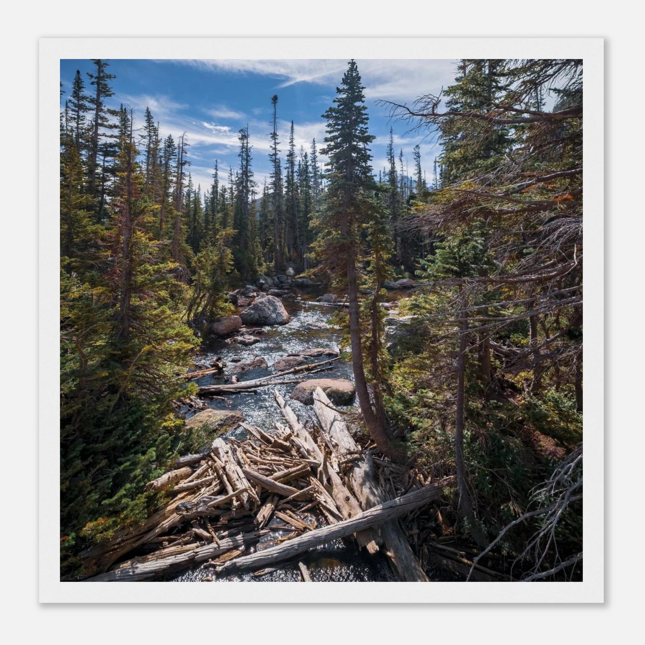 23686526-1e14-4db9-9384-f52cc04823c8