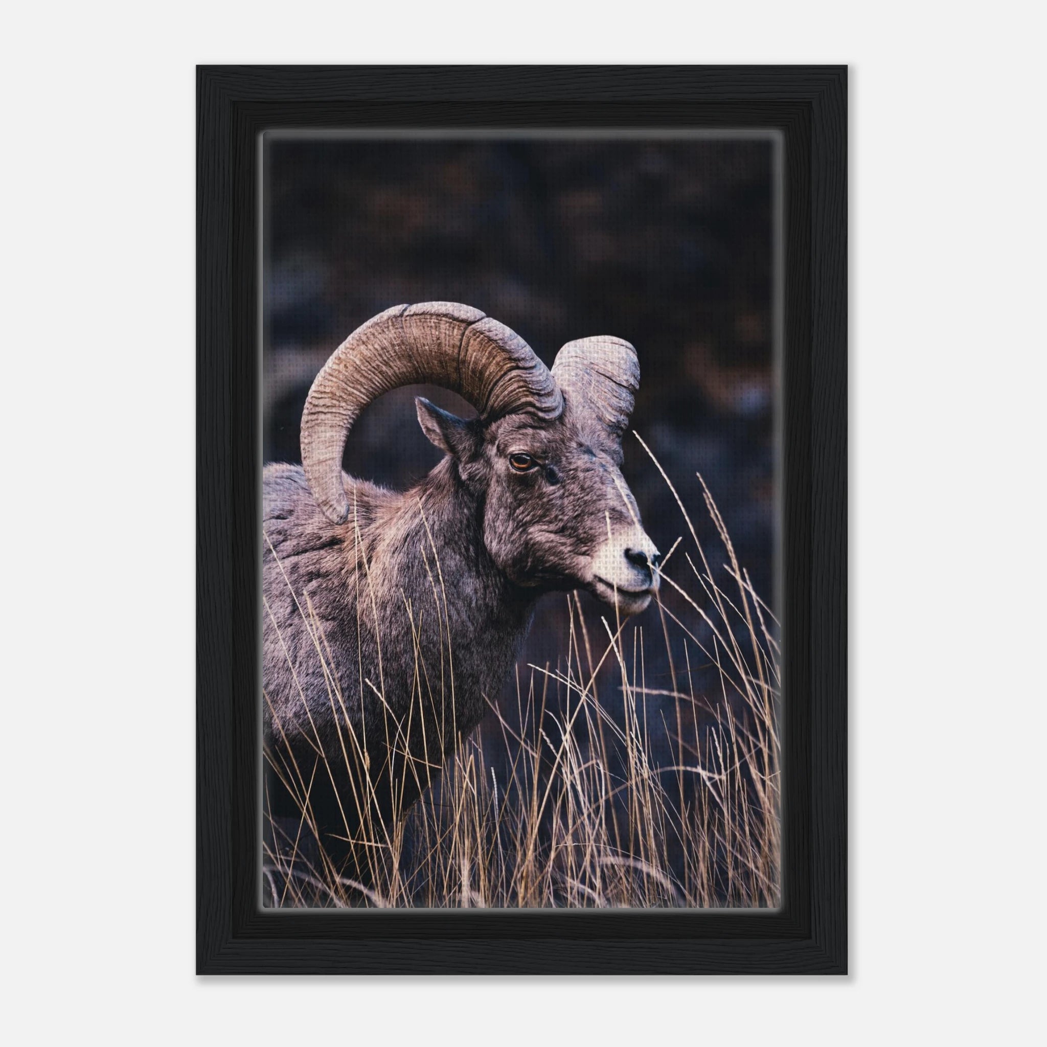 24af1852-2aaa-43ac-82fa-23c7f9c1c028