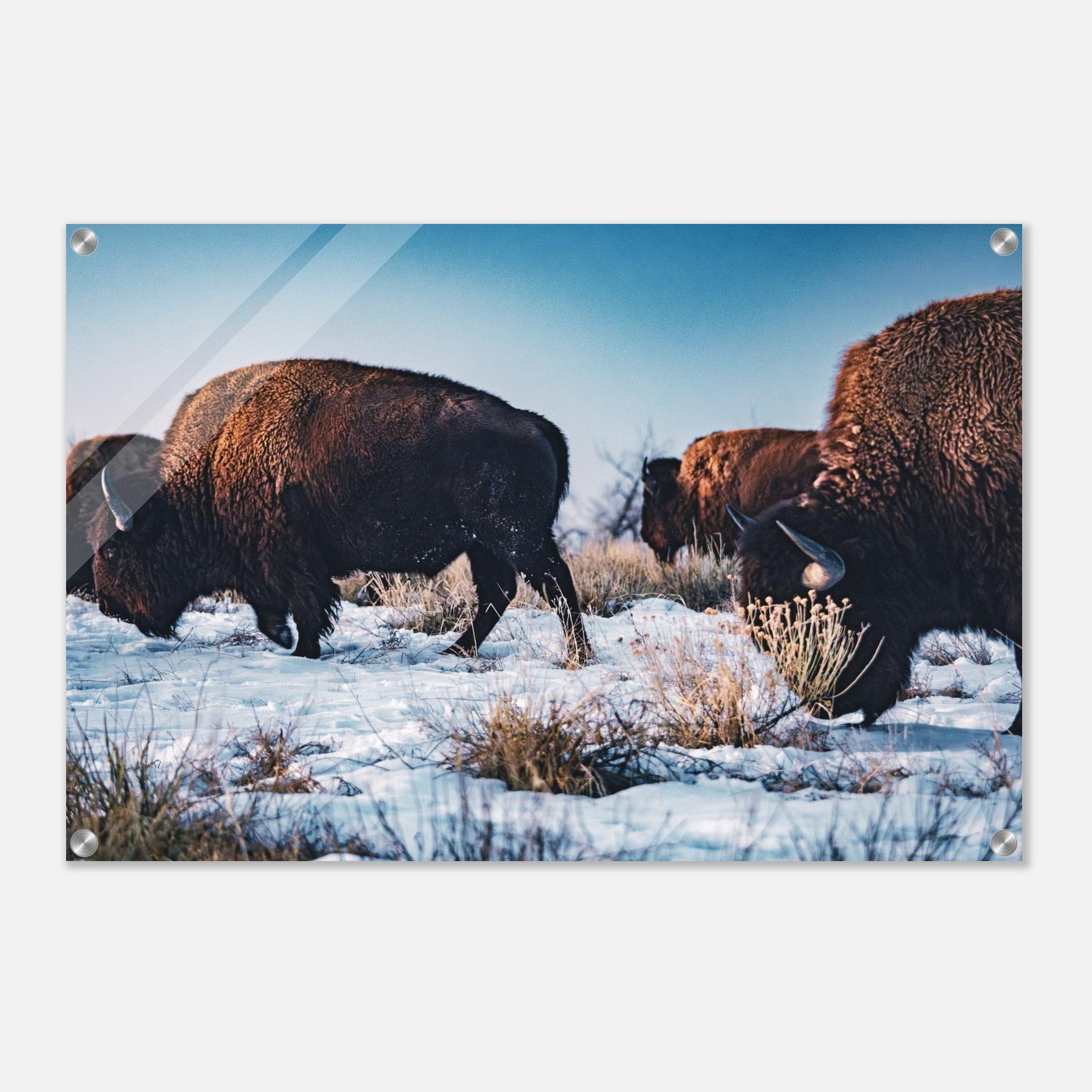 2608ae80-2054-4395-a6cd-cd81bc5bee9d