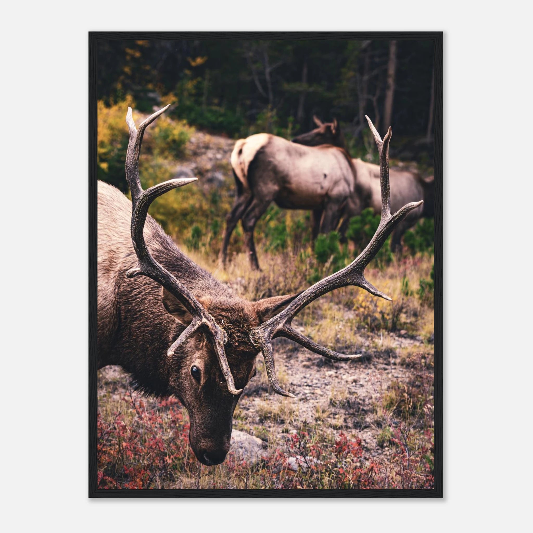 27aa7a14-edfa-4c33-8da2-29ca892e5caf